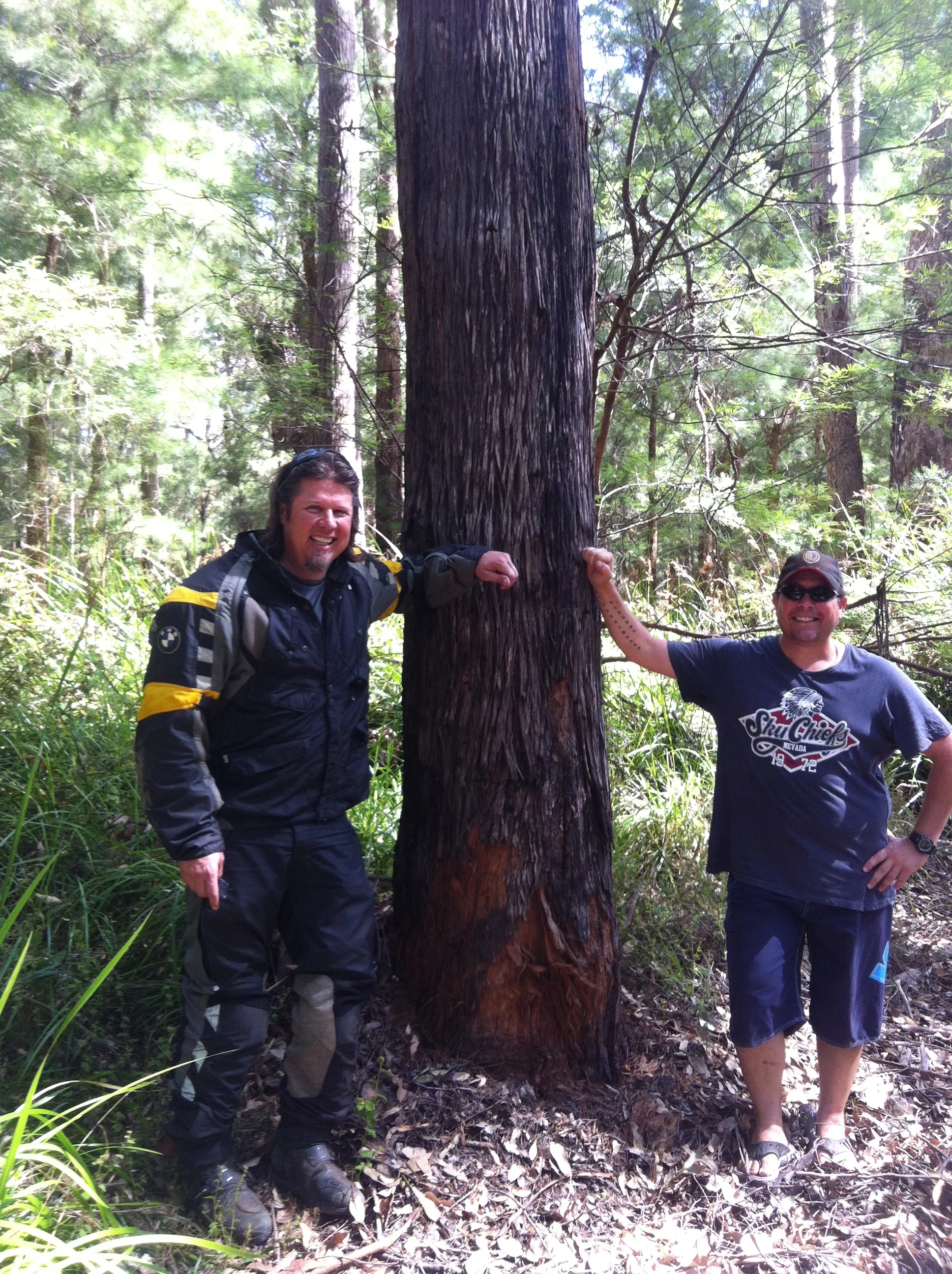 "Hair of the Dog"...Constable Jason, Kev and the Kari tree! Now we can continue......
