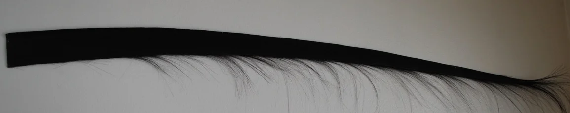 Baleen