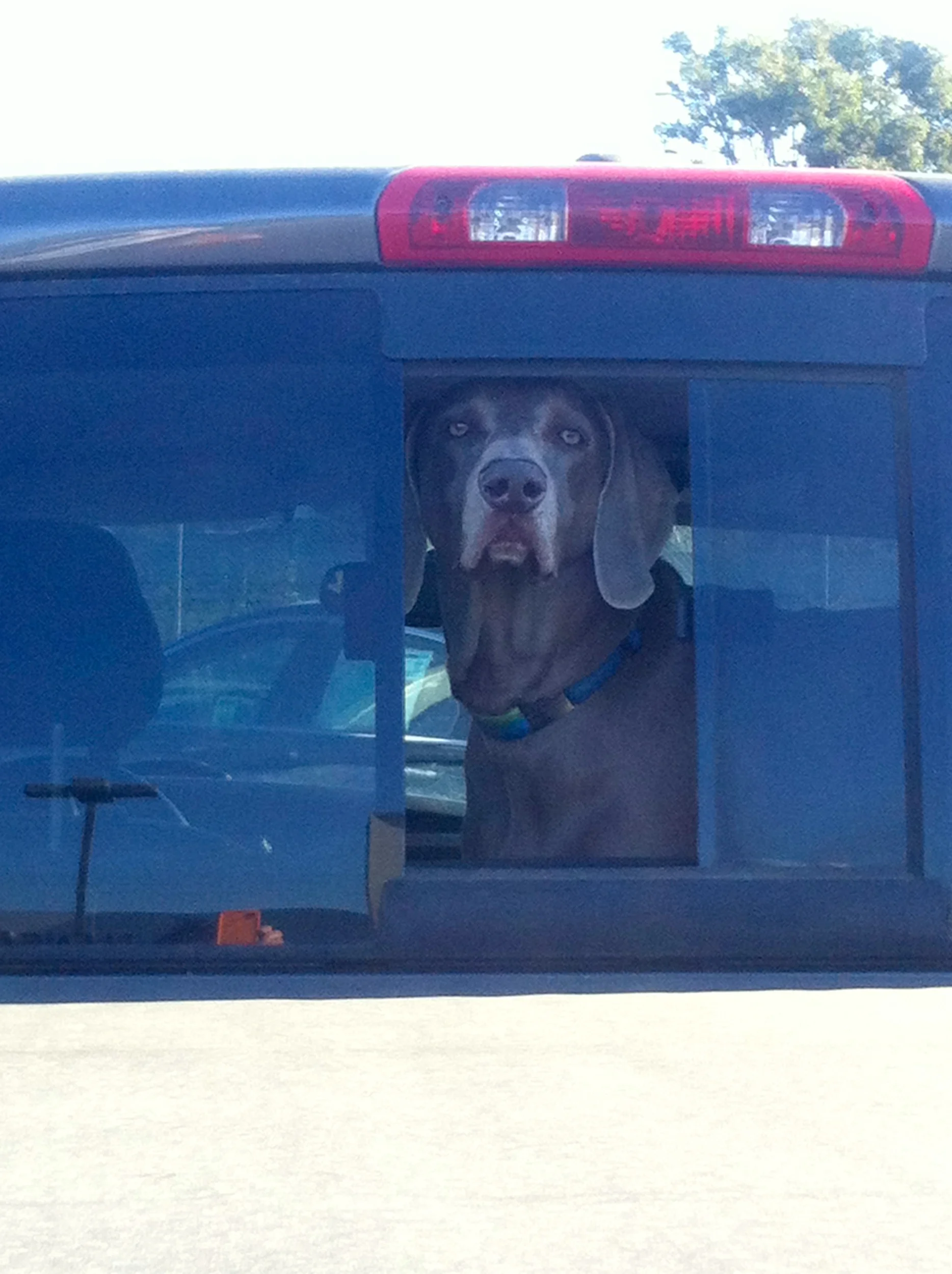 Really, are we making another trip?!