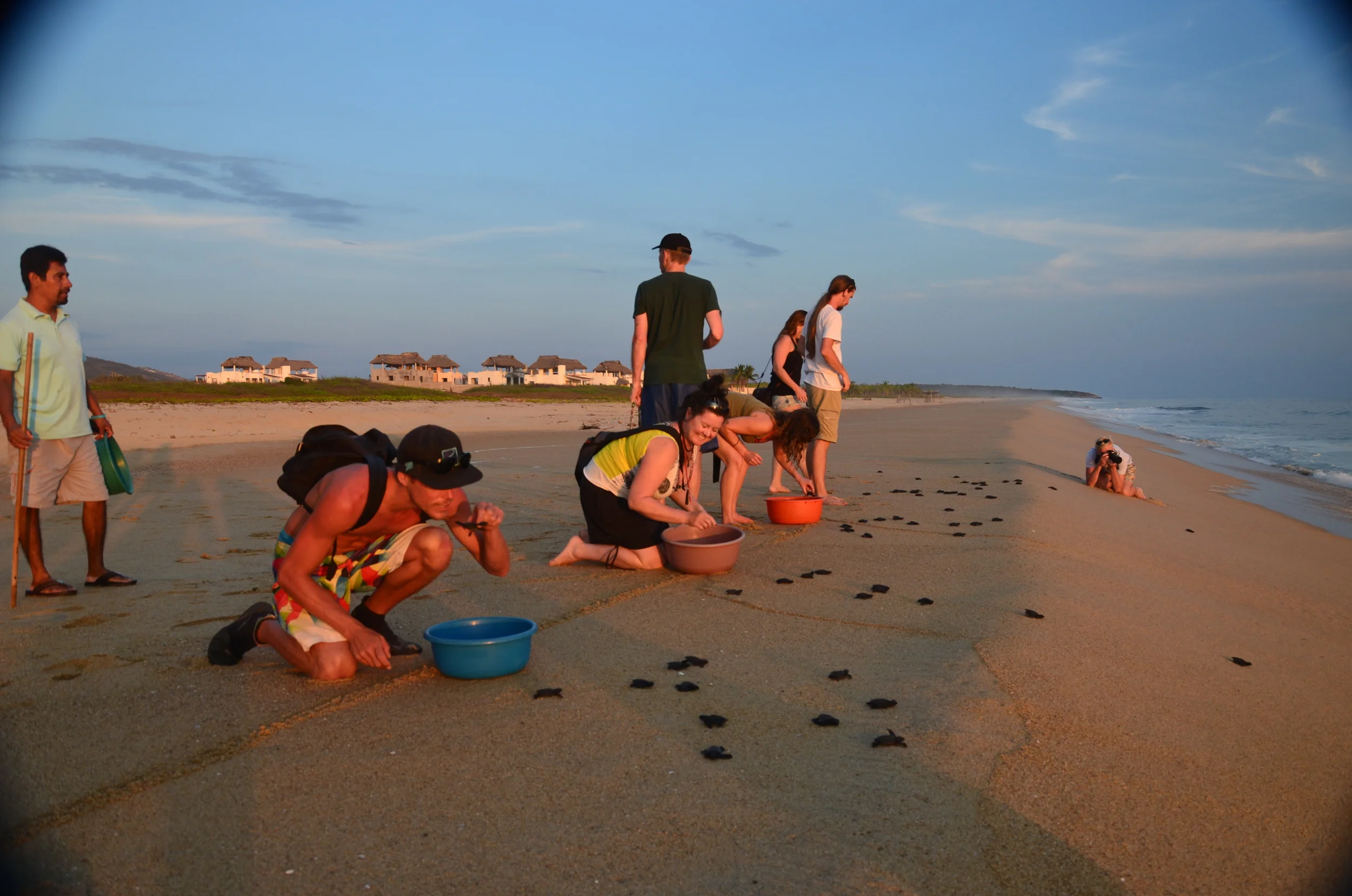 Releasing the smallest baby tortugas…the Olive Ridley. We returned a second time to the site! It was such an amazing experience