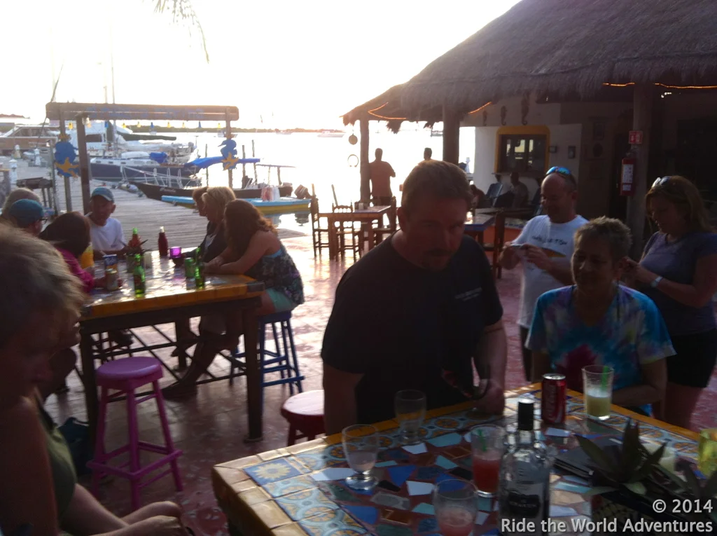 Sea dwellers meet land dwellers!