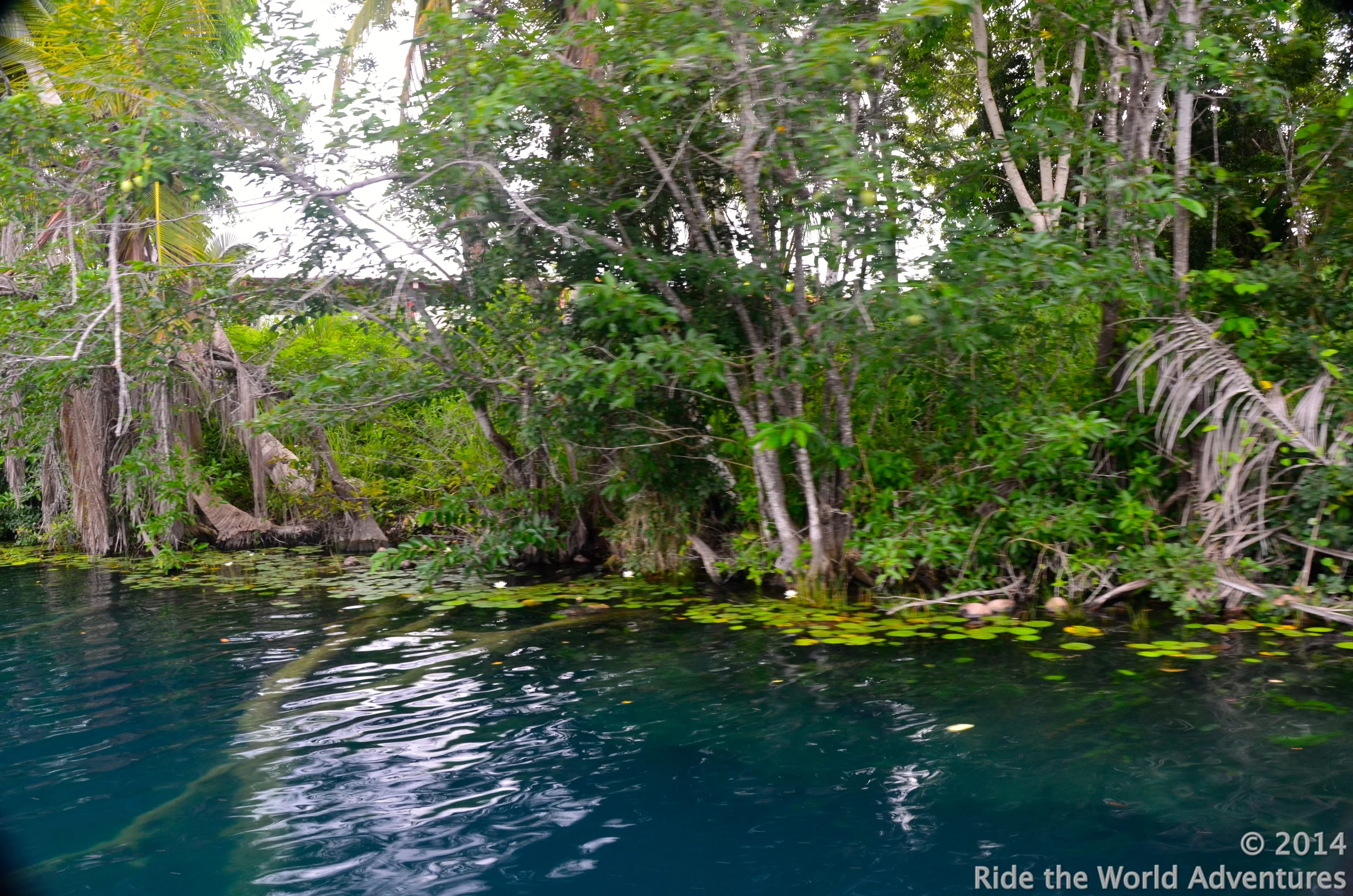One of the 9 fresh water cenotes feeding Laguna Bacalar.