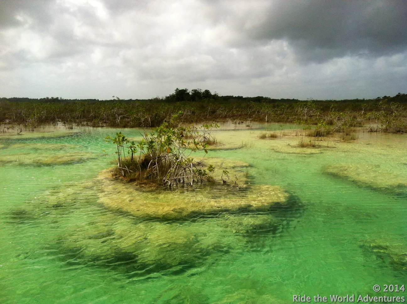 Stromatolites