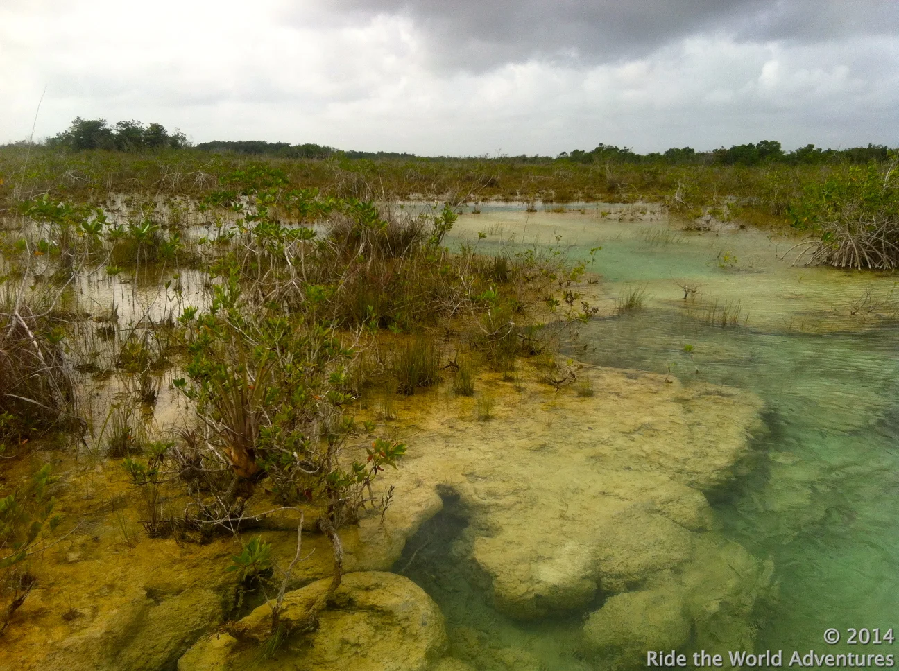 Prehistoric Stromatolites Laguna Bacalar.