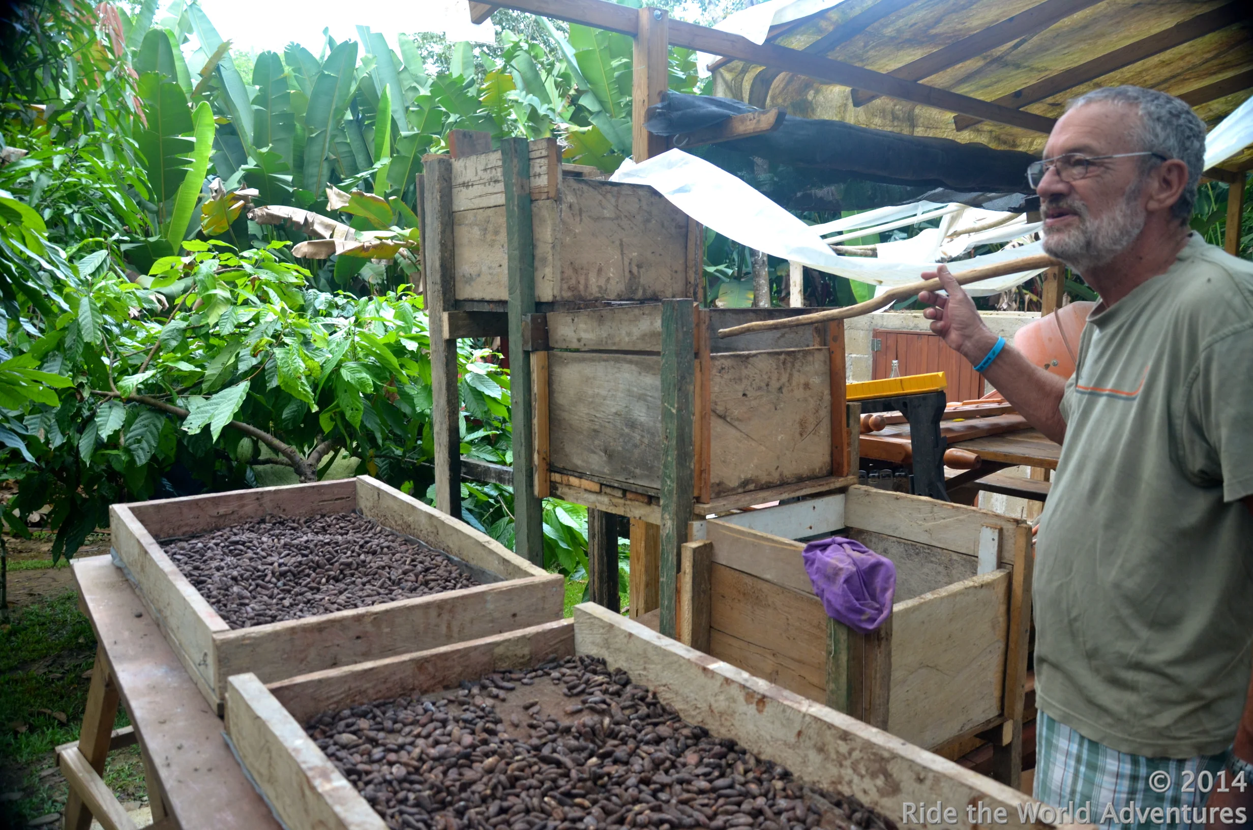 Kevin showing us how his Farm works…The last of the cocoa beans drying!