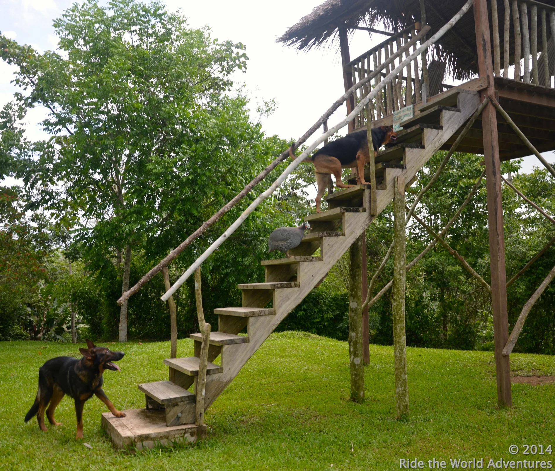 Yeah….Let's all go up and take a look!