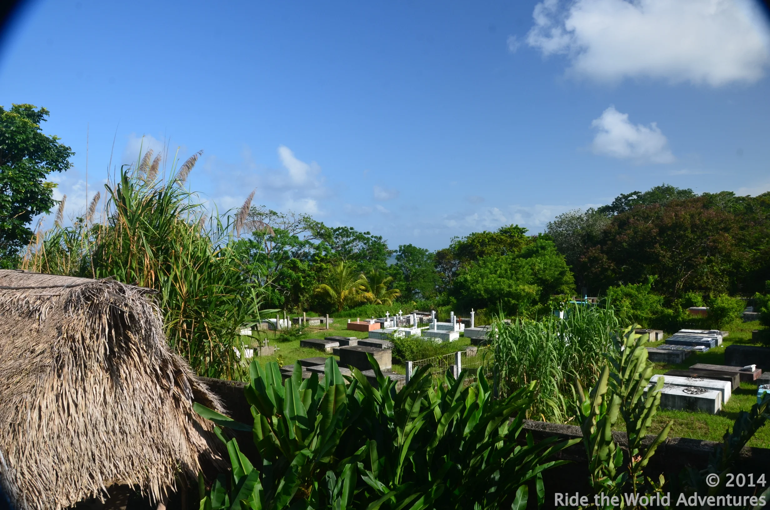 View from room over the cemetery.