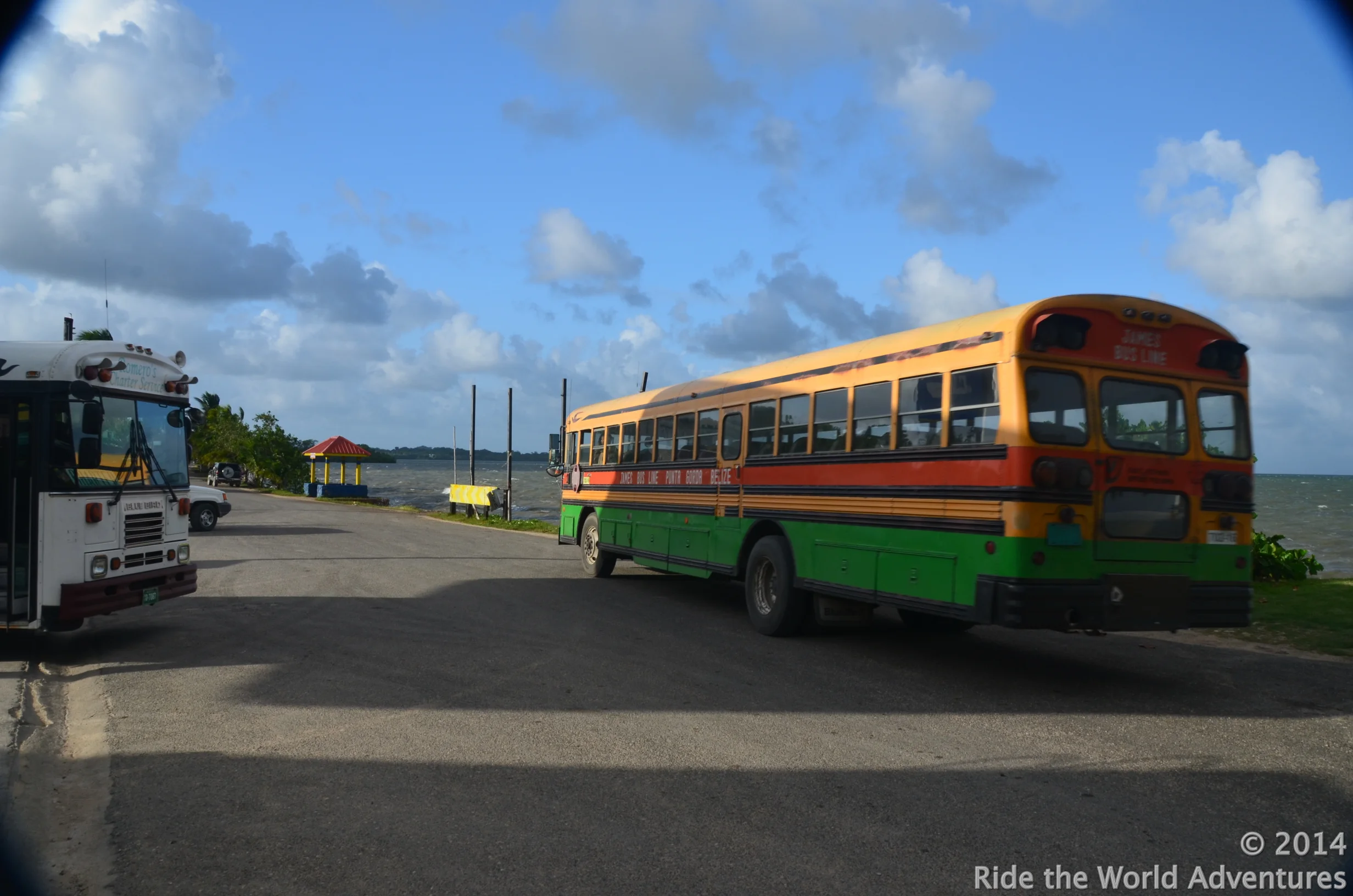 Cool busses!
