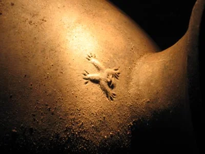 The 'Monkey pot'…how cool is this?