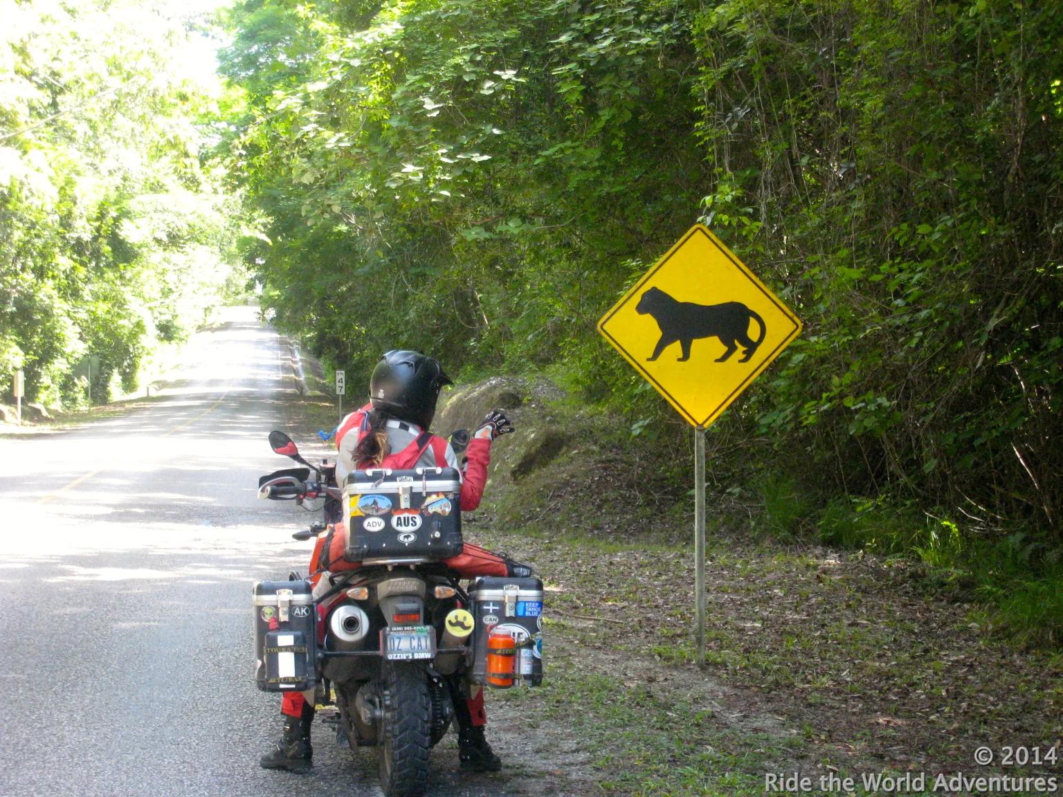 Fun with road signs as we enter the park….Jaguar