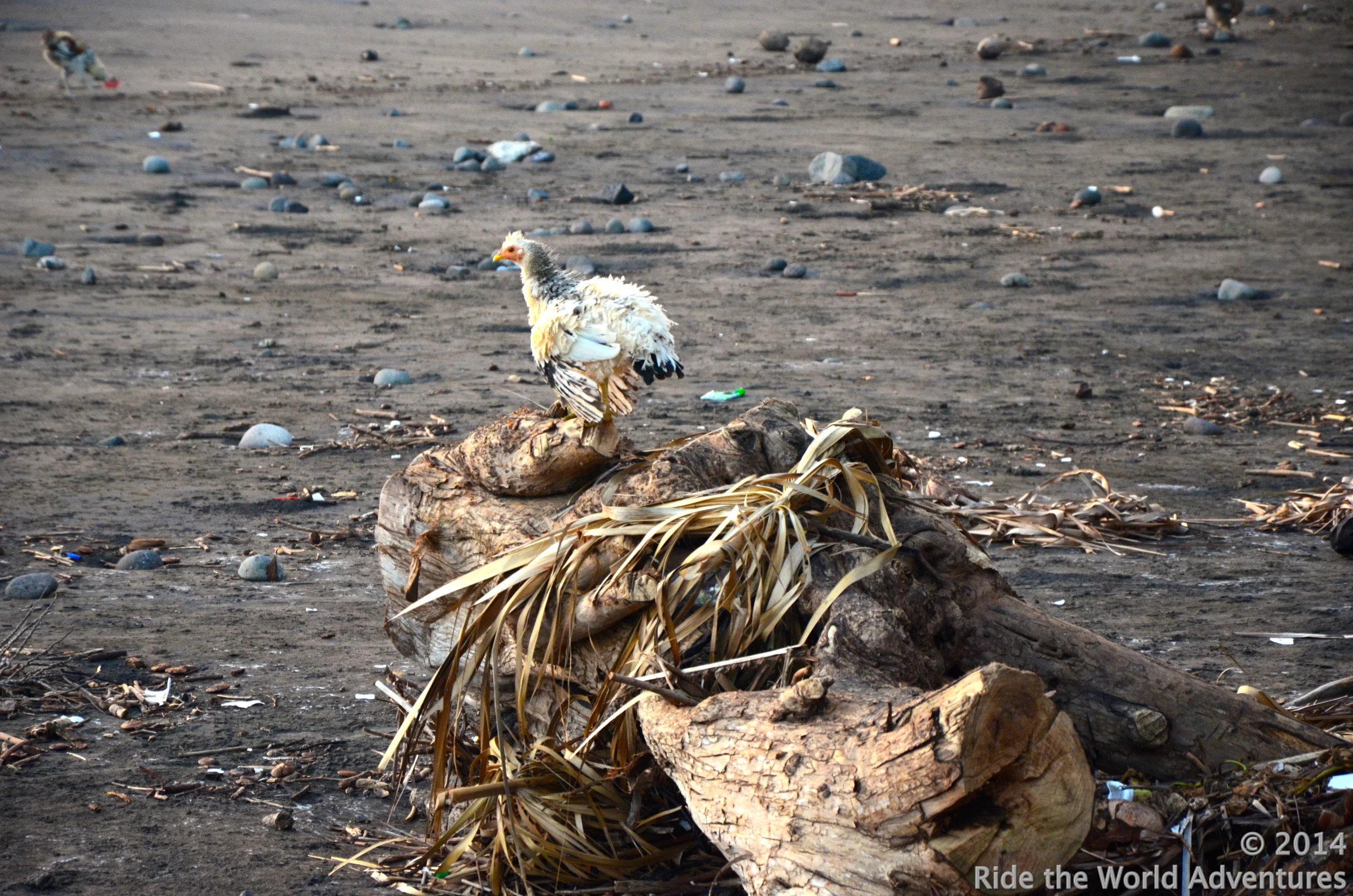 The beach was not the safest, nor cleanest…..