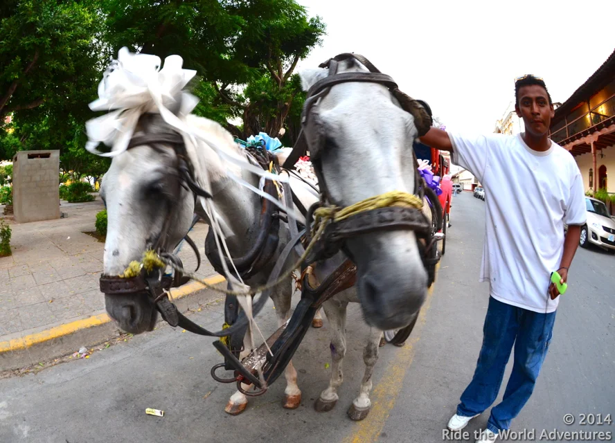 When in doubt…take a horse and carriage!
