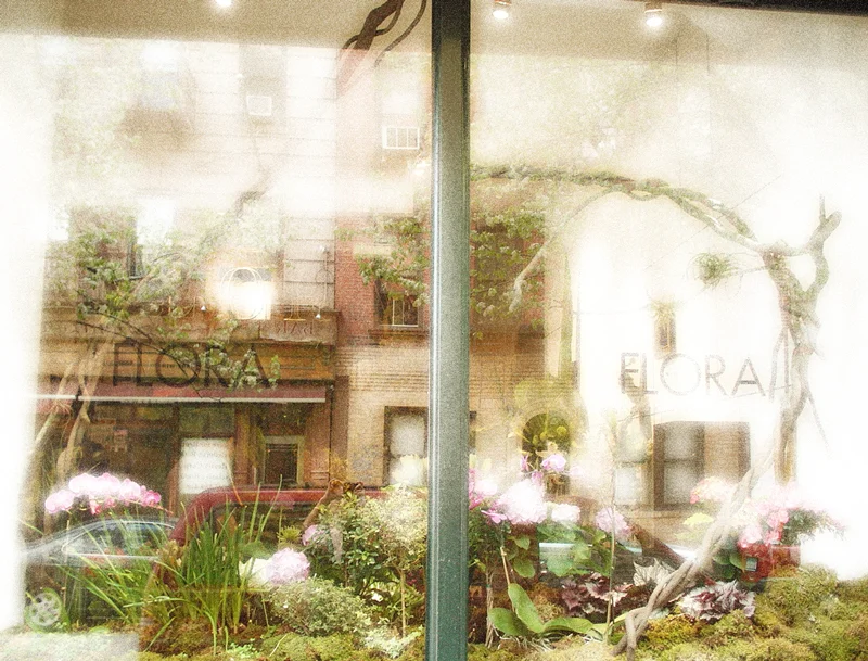 Flora_Window.jpg