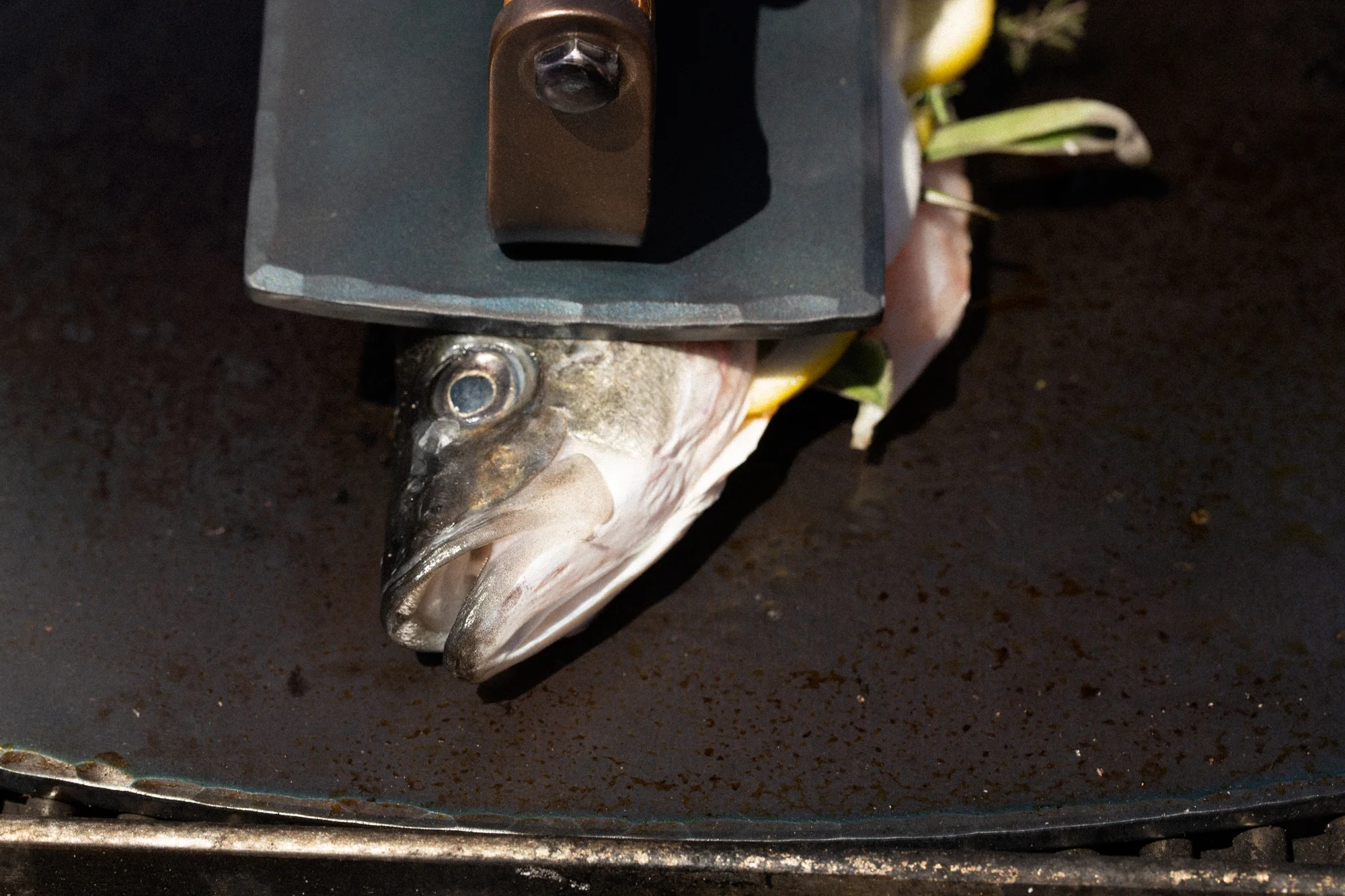 blancgrill-9845.jpg