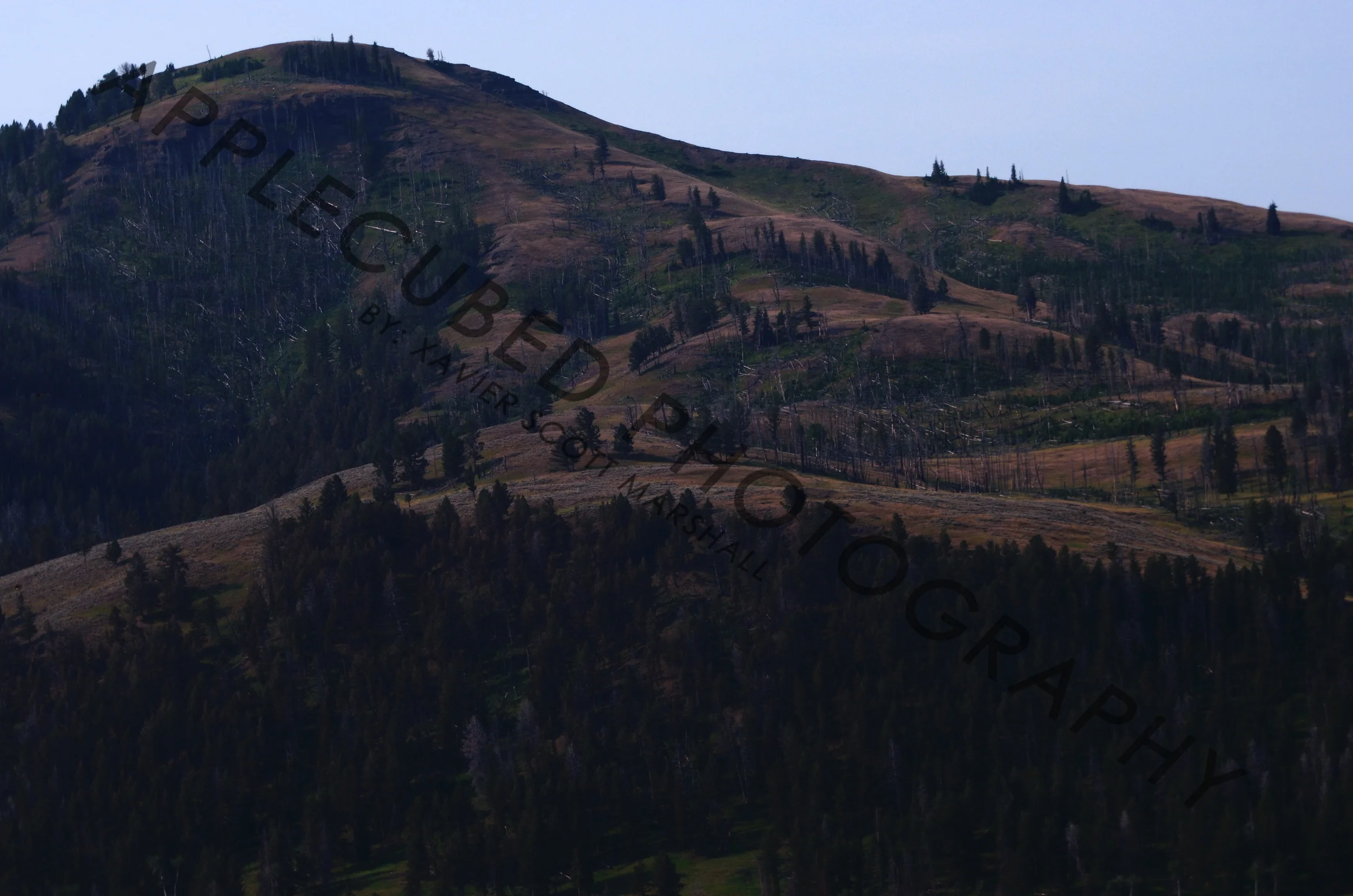 DSC_0735.JPG