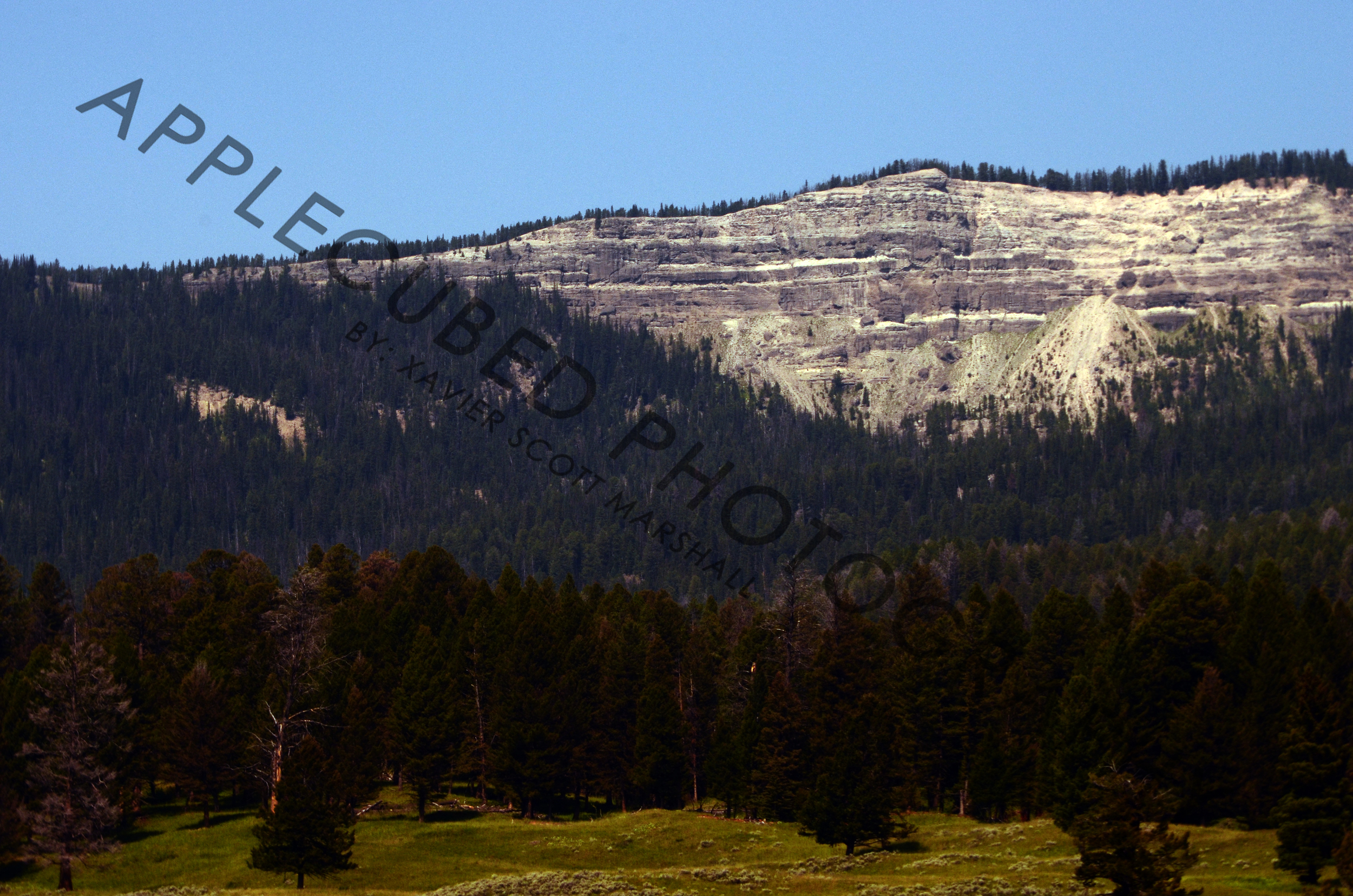 DSC_0749.JPG