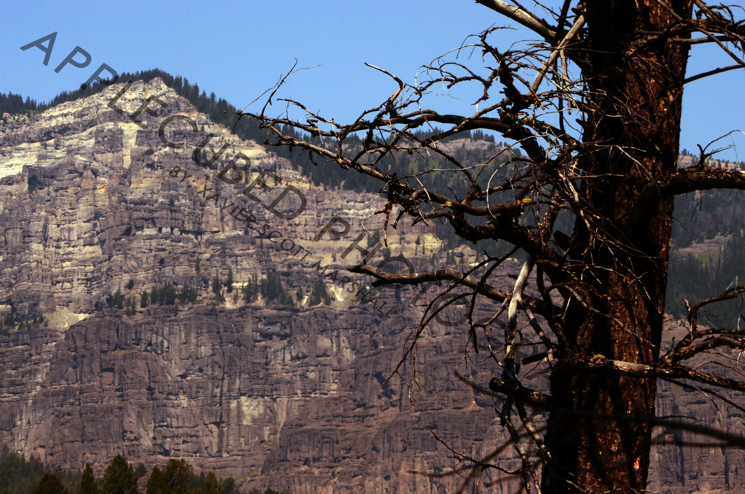 DSC_0778.JPG