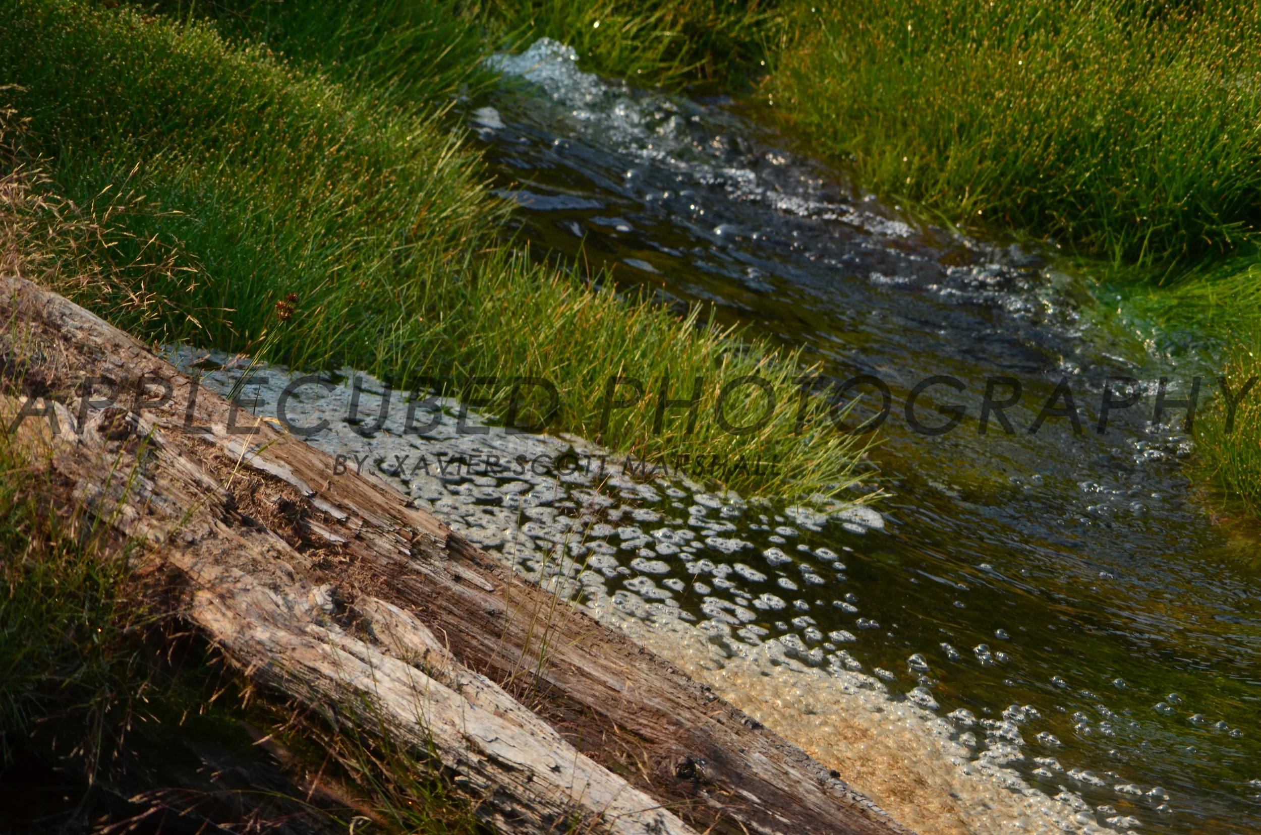 DSC_1020.JPG
