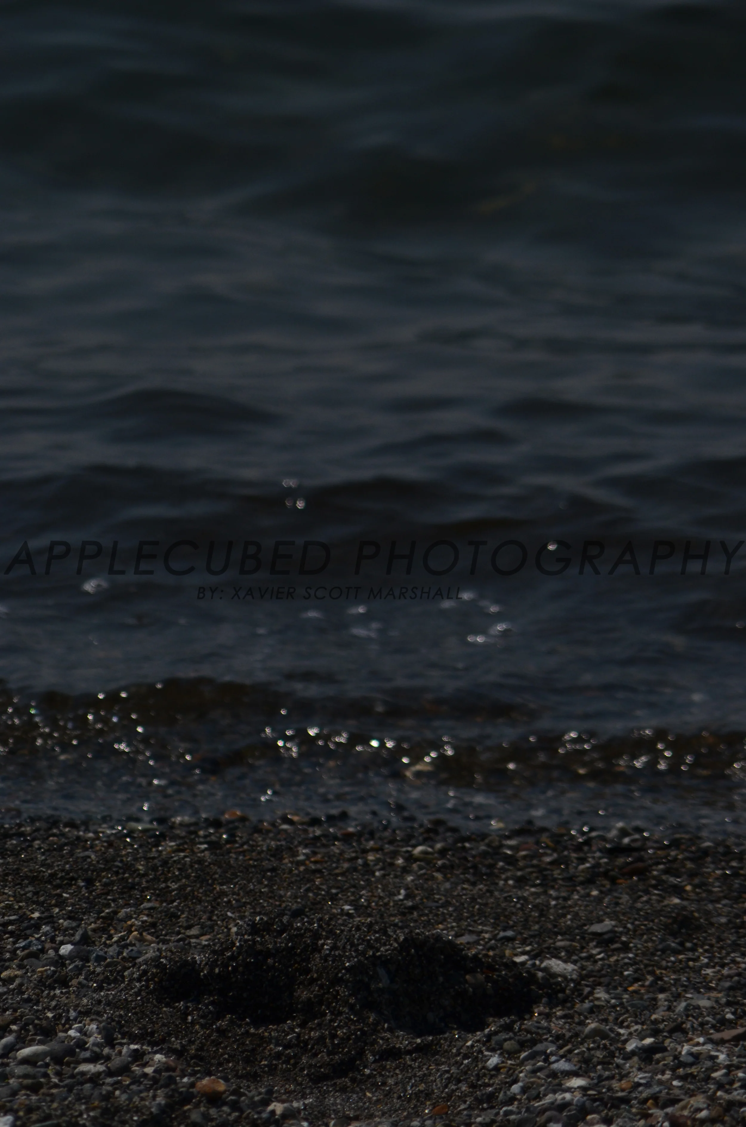 DSC_1093.JPG