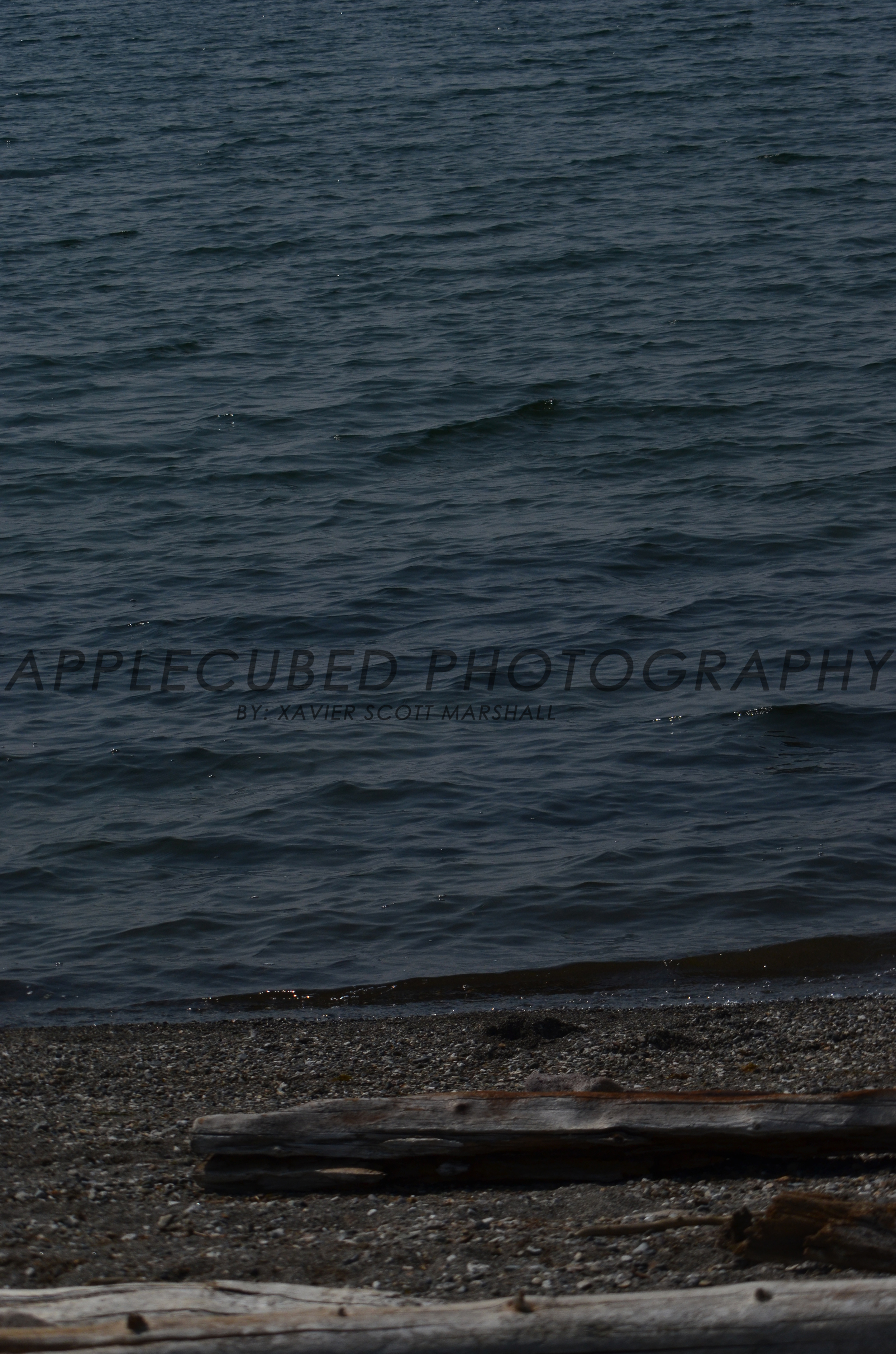 DSC_1094.JPG