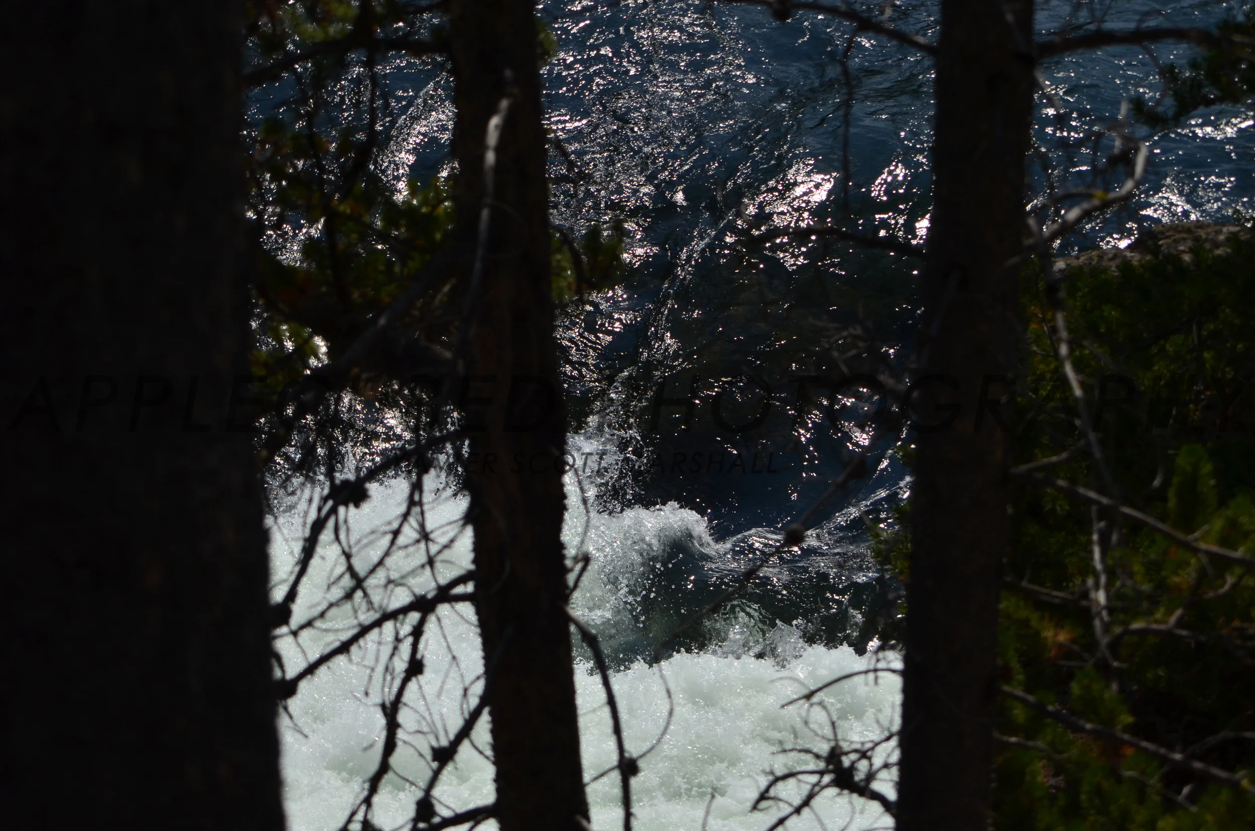 DSC_1111.JPG