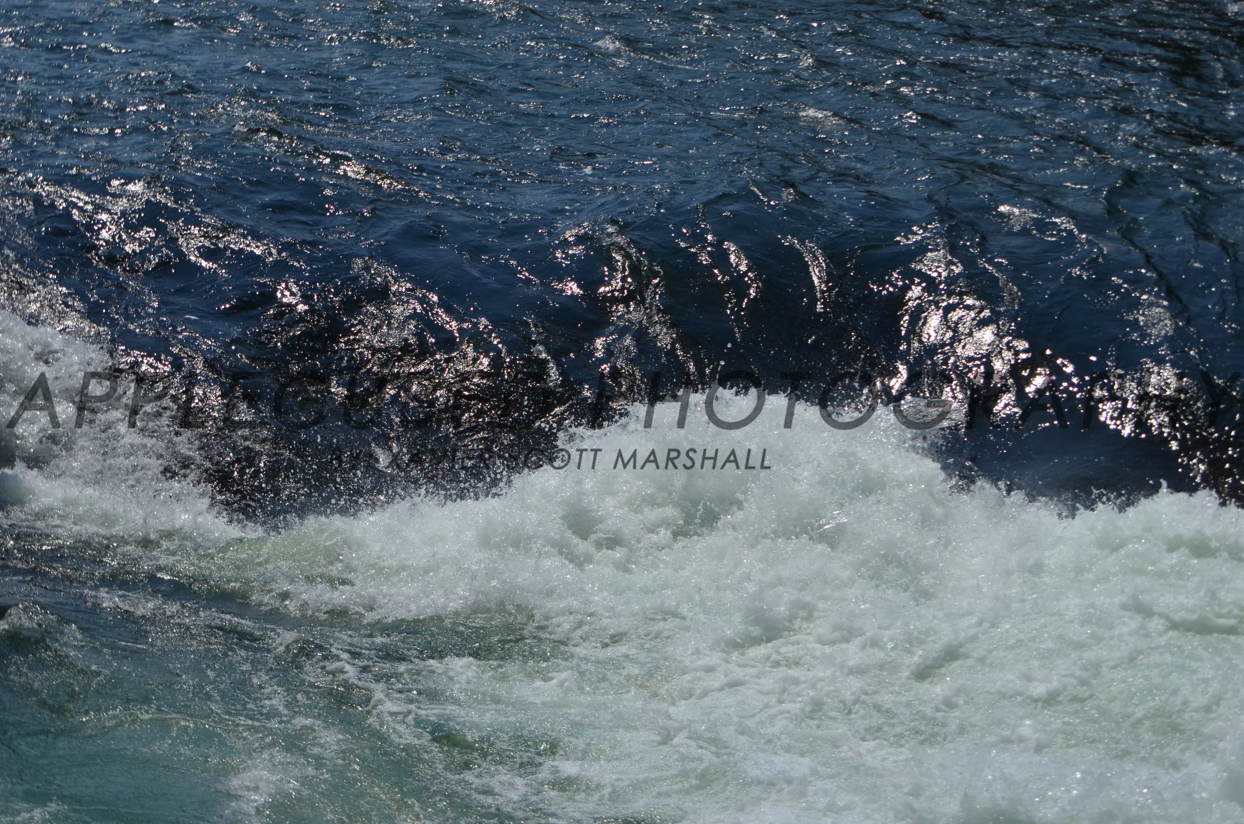 DSC_1113.JPG