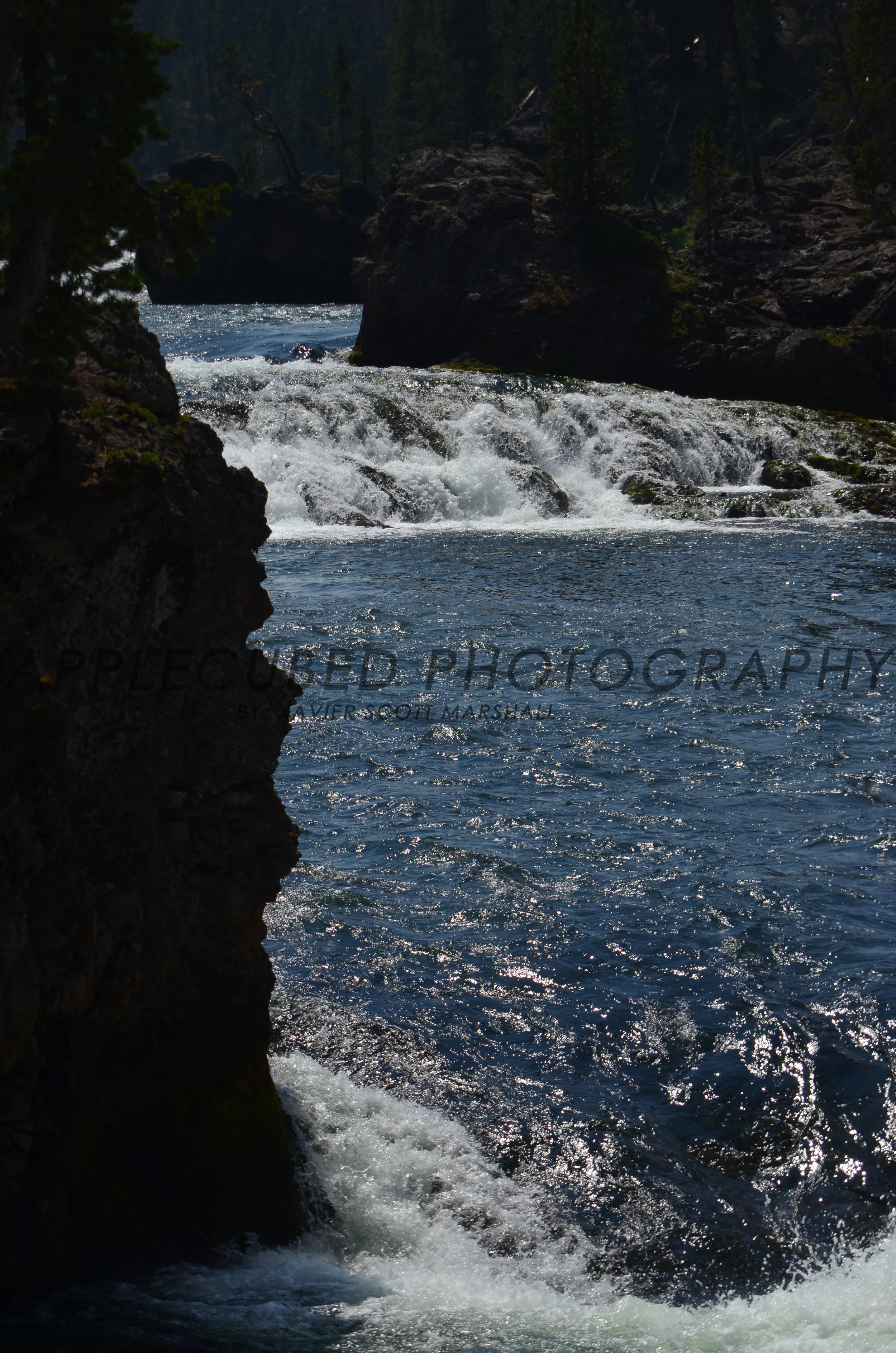 DSC_1115.JPG