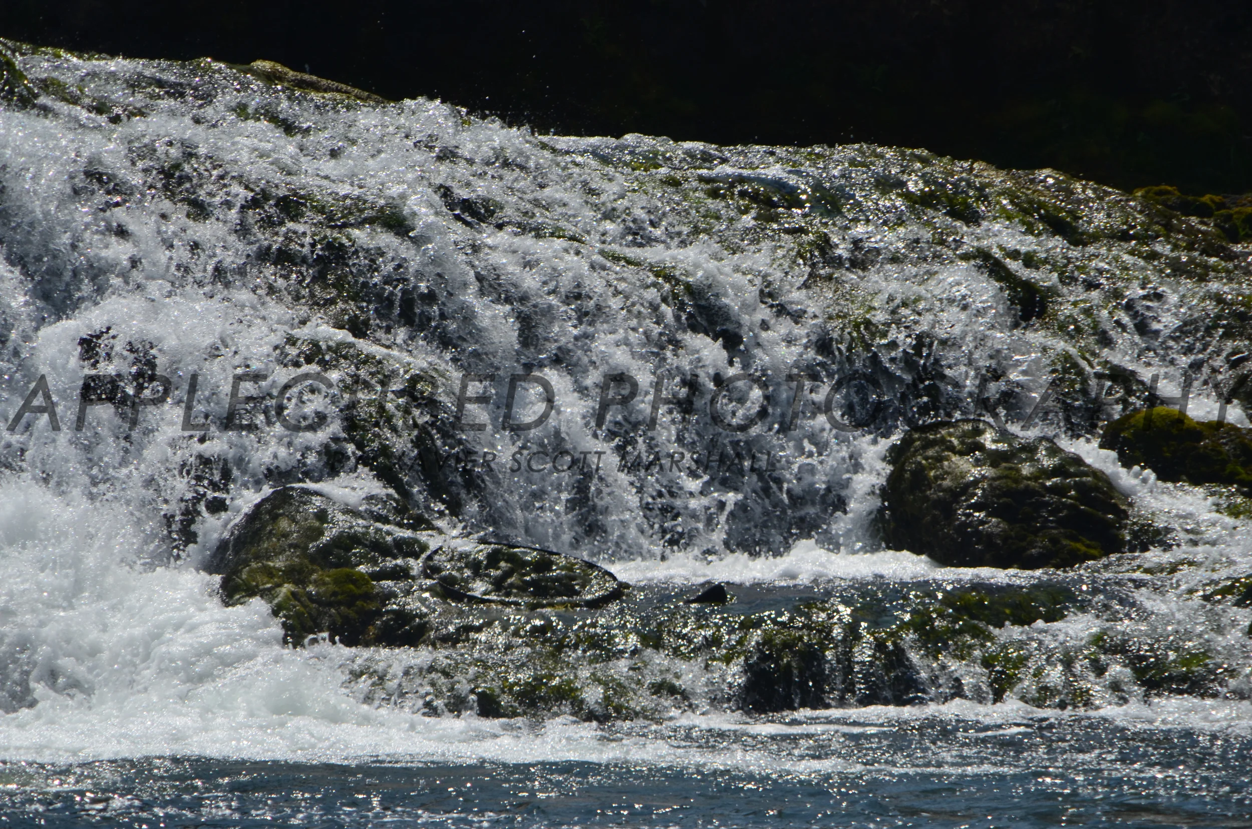 DSC_1119.JPG