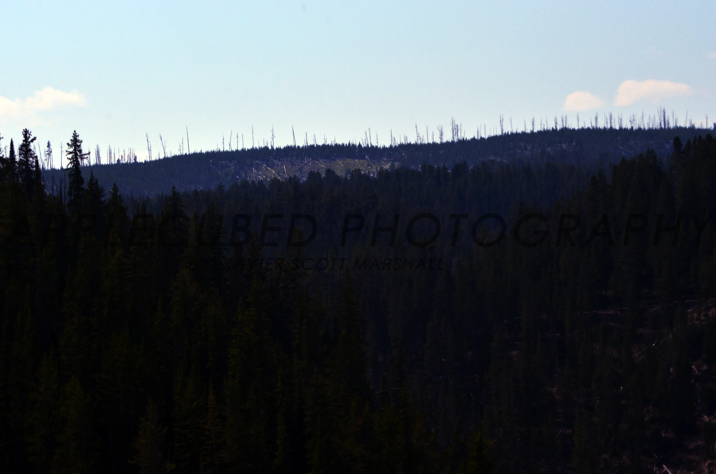 DSC_1137.JPG