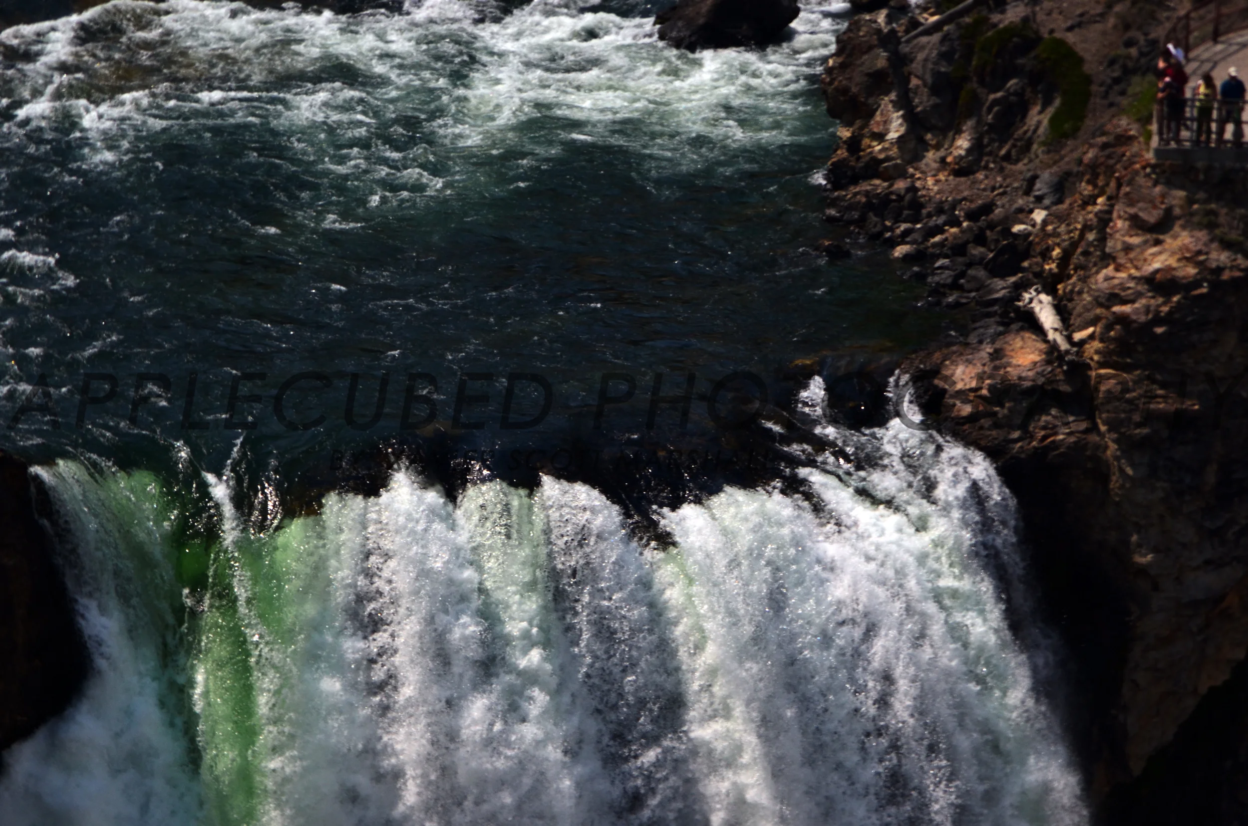 DSC_1138.JPG