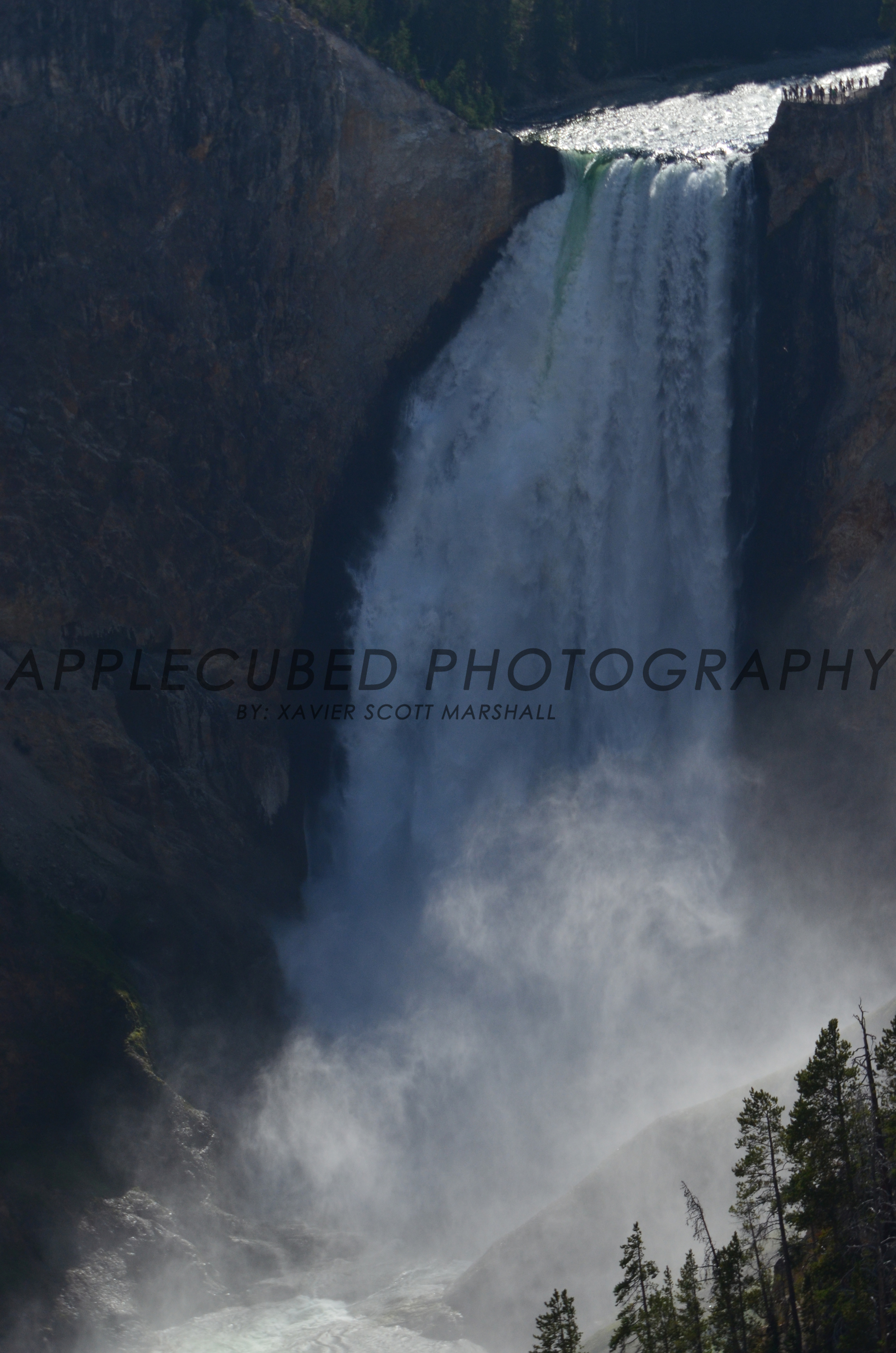 DSC_1170.JPG