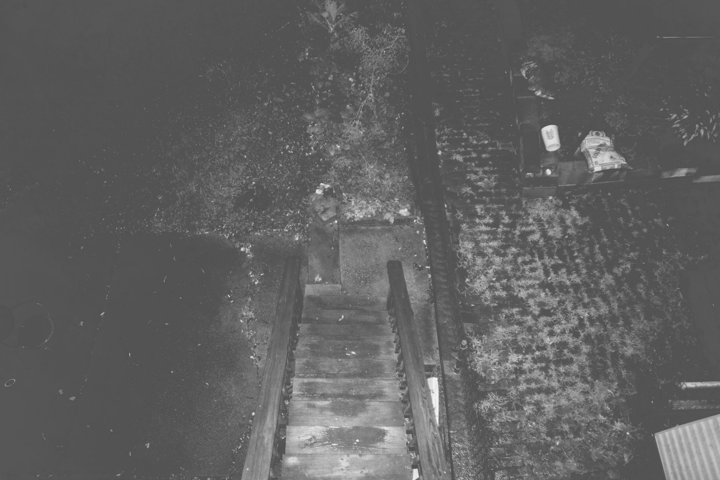 DSC_5229.jpg