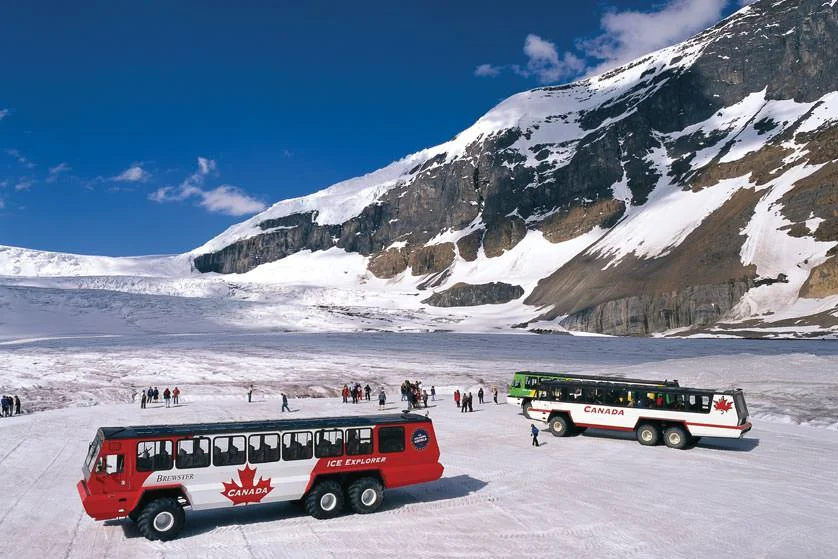 Image Source: Brewster Travel Canada