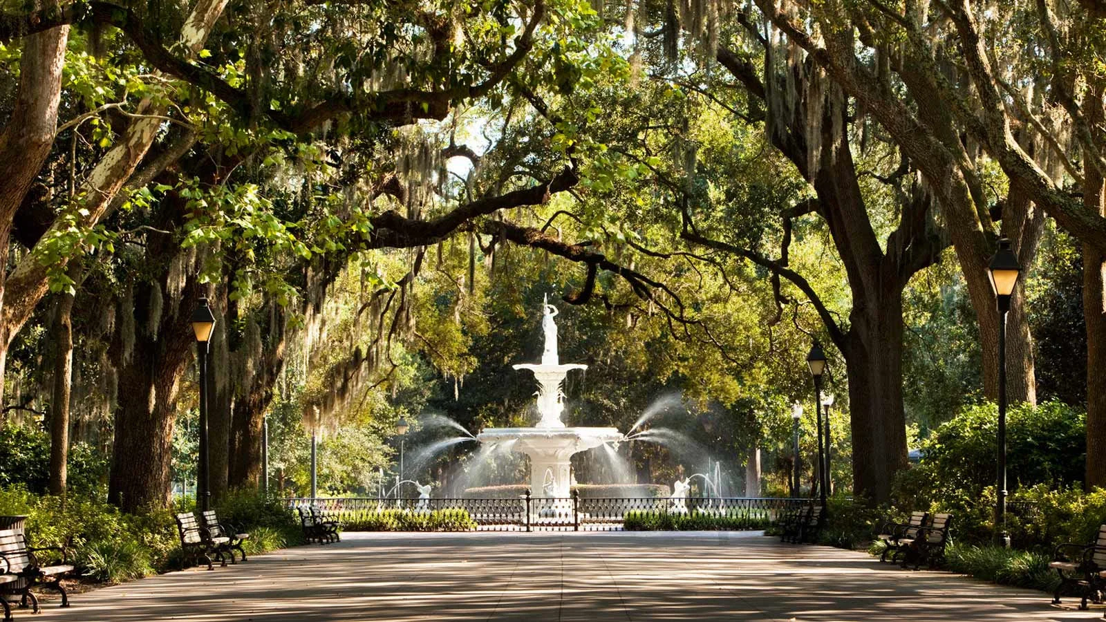 Image Source: Westin Savannah