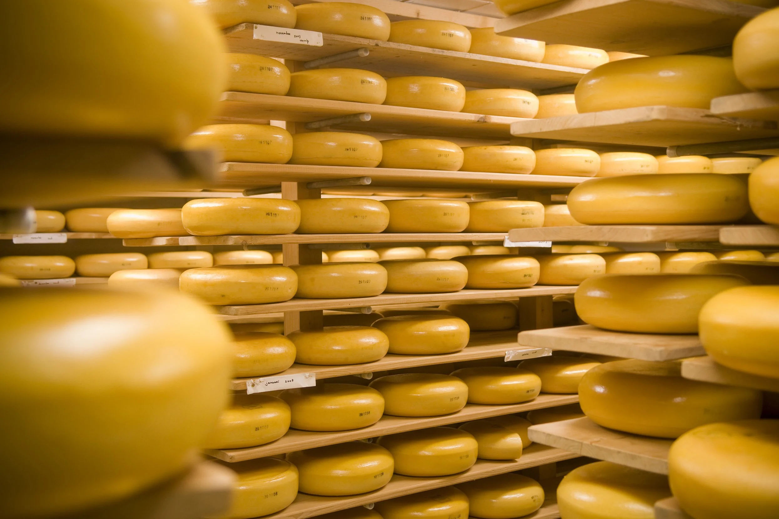 NL_359-Cheese-Source-NL-Agency.jpg
