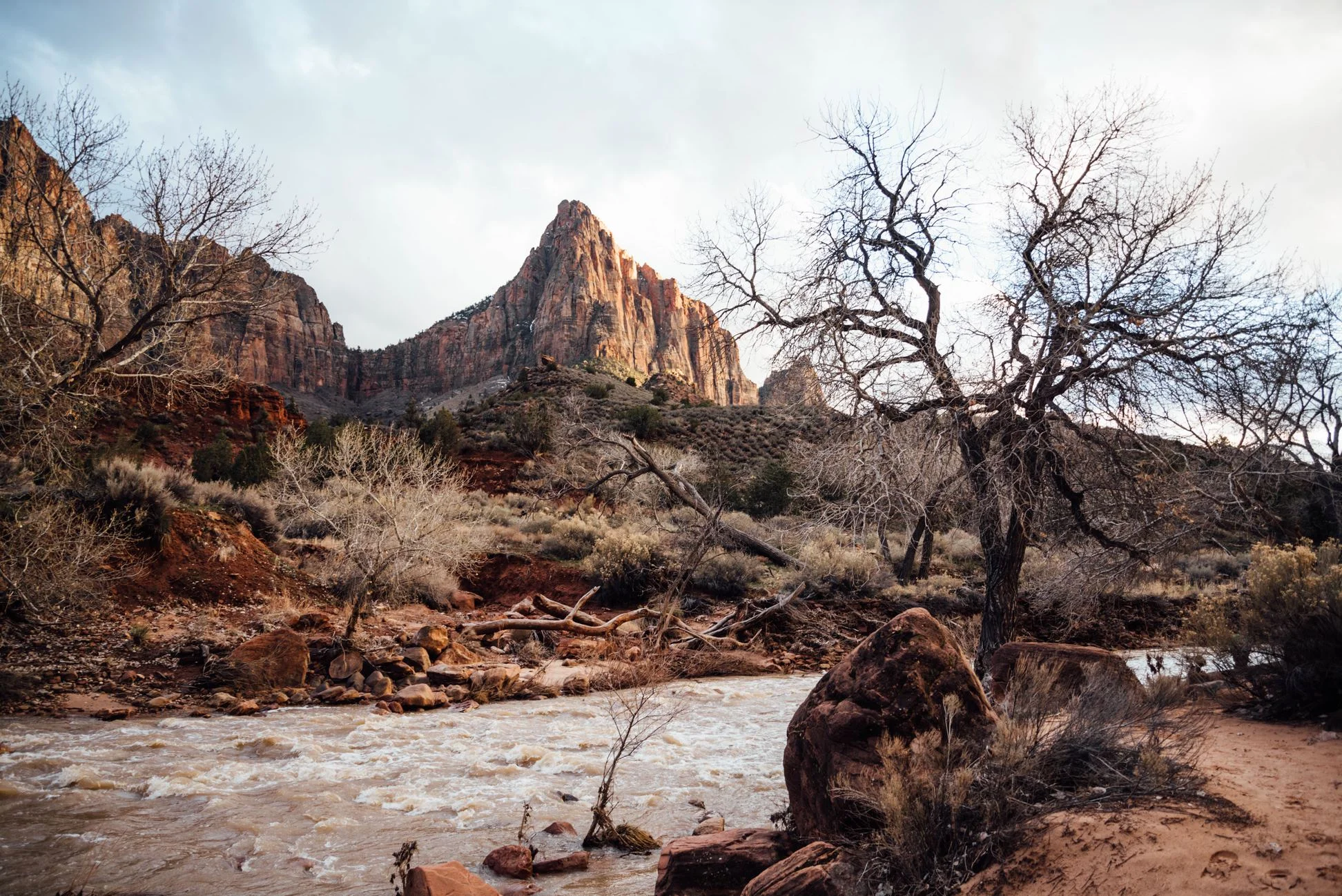 zion2.jpeg