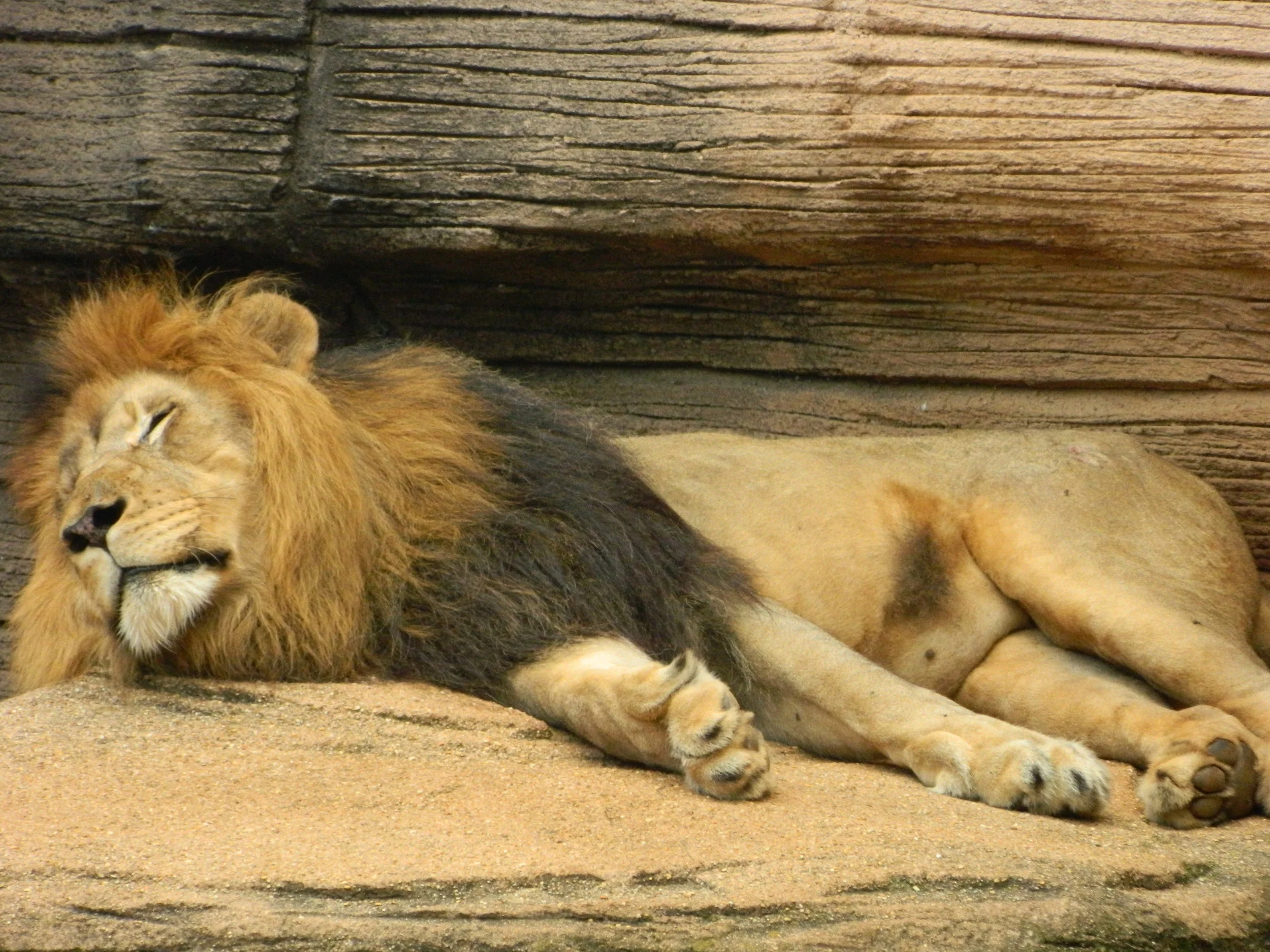 Image: Wikimedia Commons