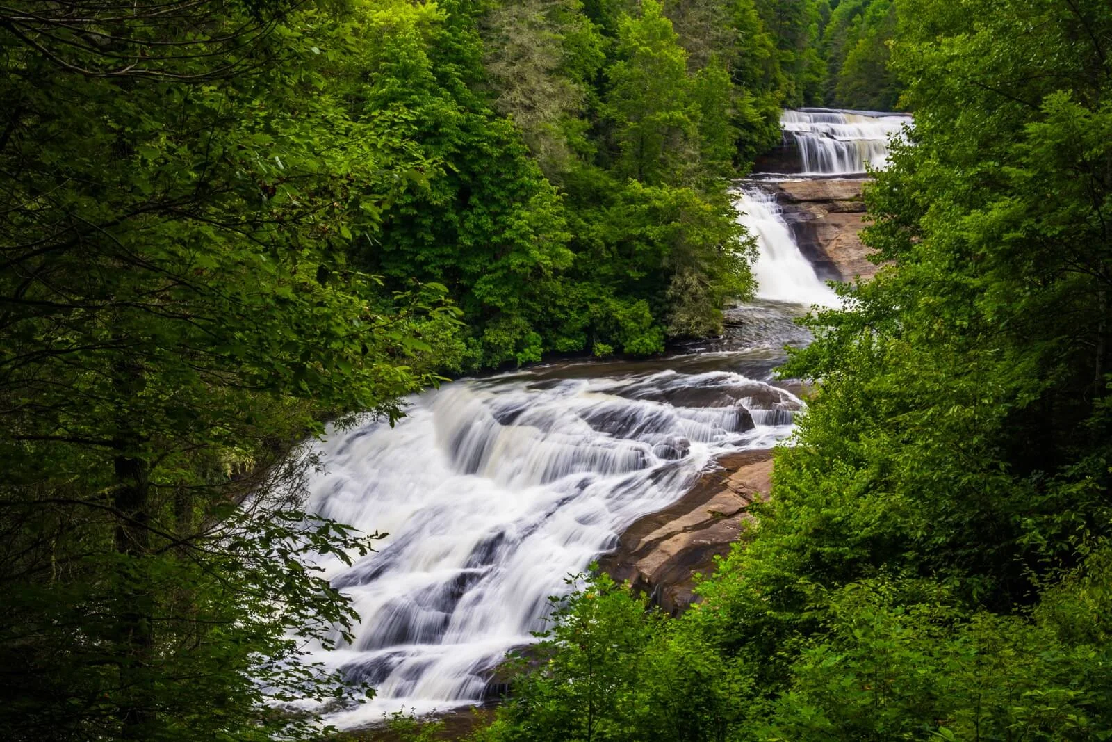 Image: brevard.com