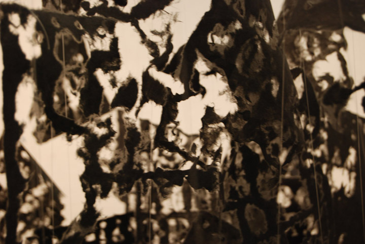 words - detail