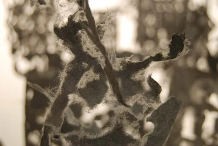 words - detail