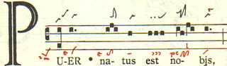 puernatus.jpg