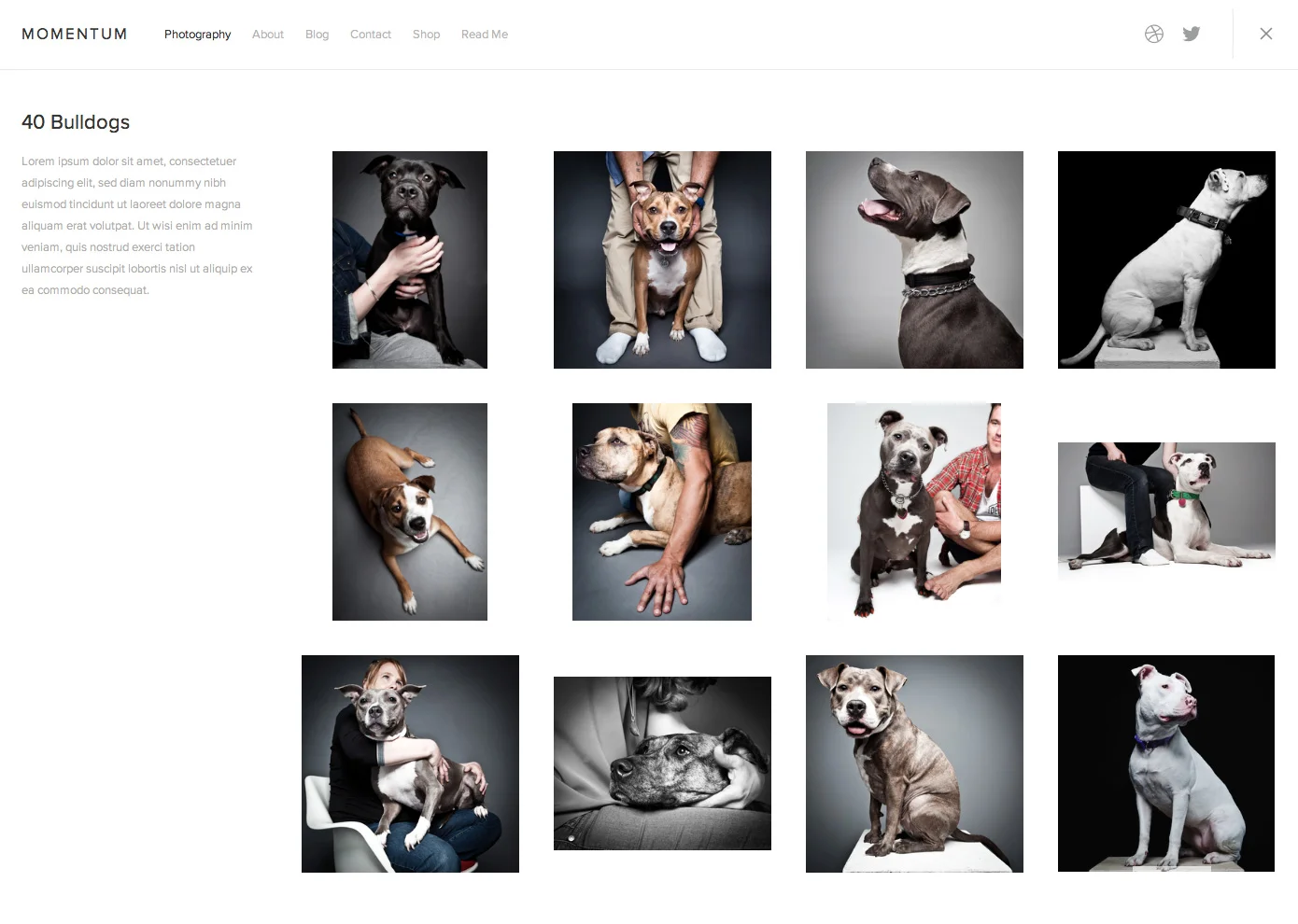 thumbnails-1.jpg