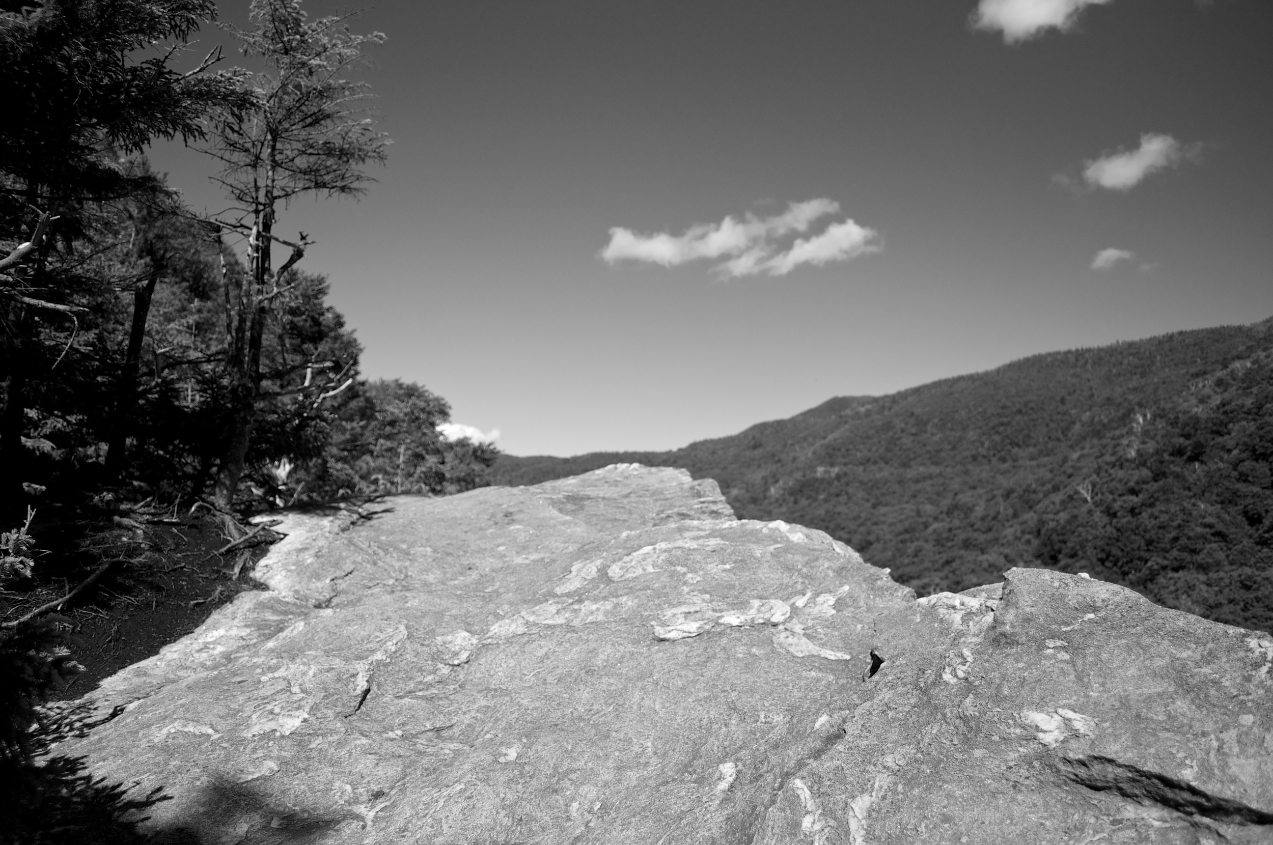 DSC_0382.jpg