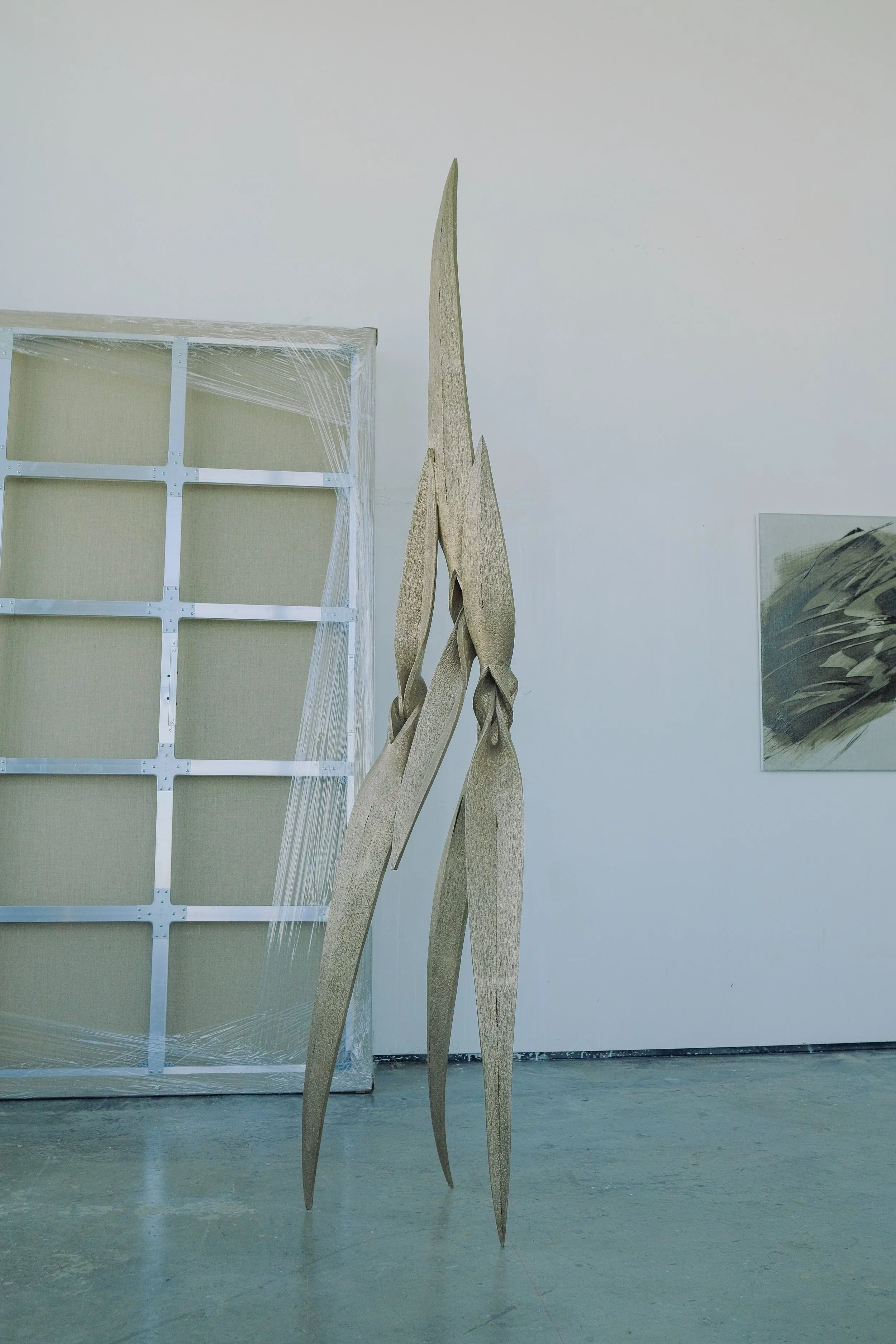 DSCF2789.jpg