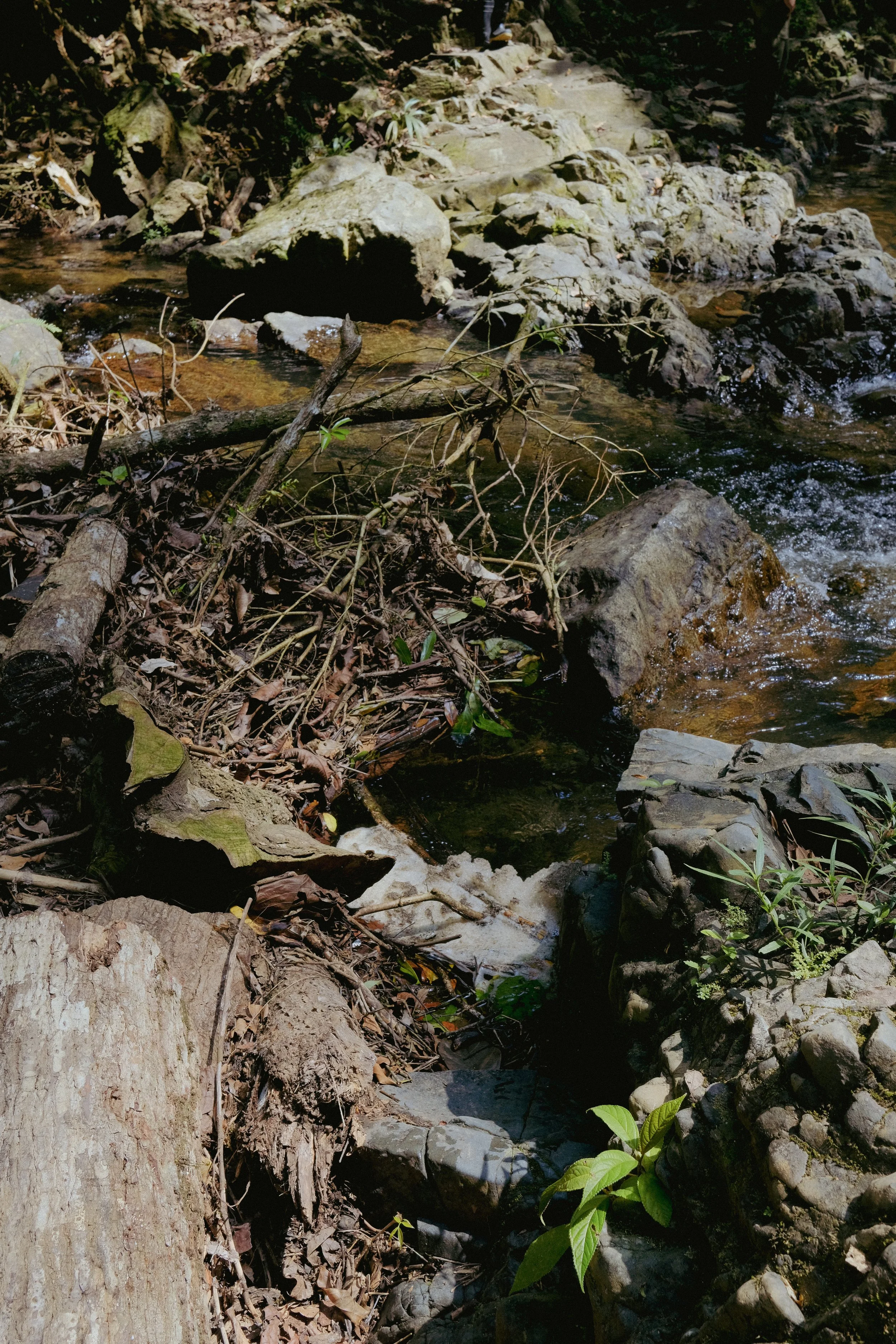 DSCF3385.jpg