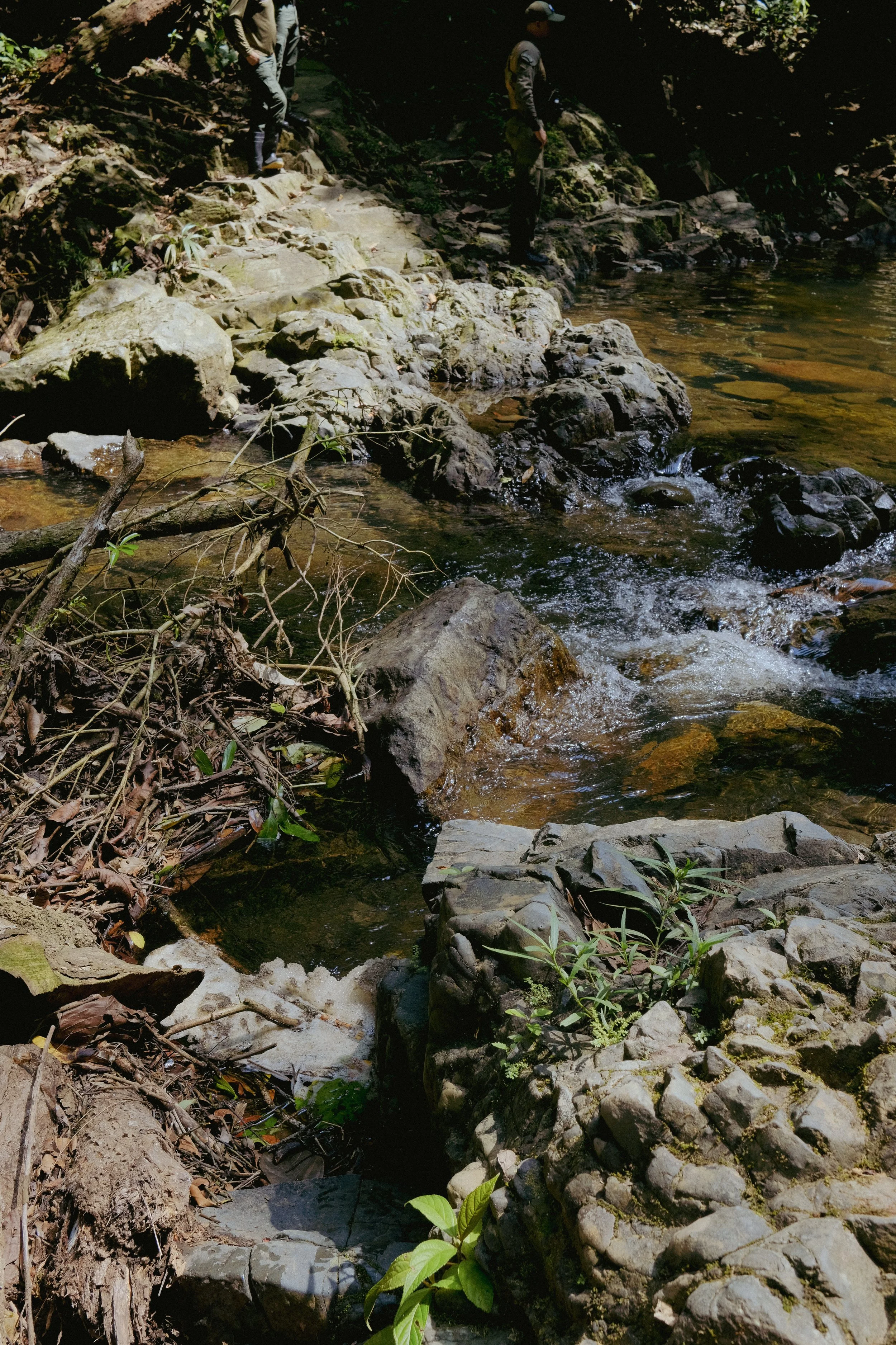 DSCF3386.jpg