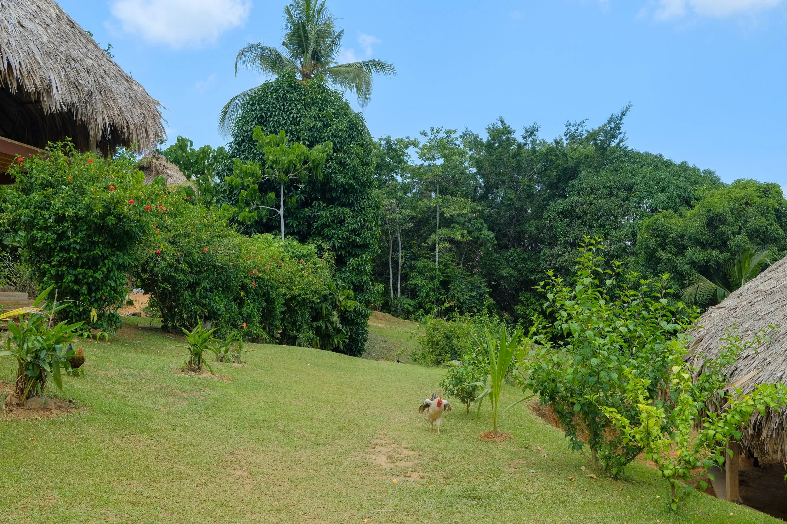 DSCF3418.jpg