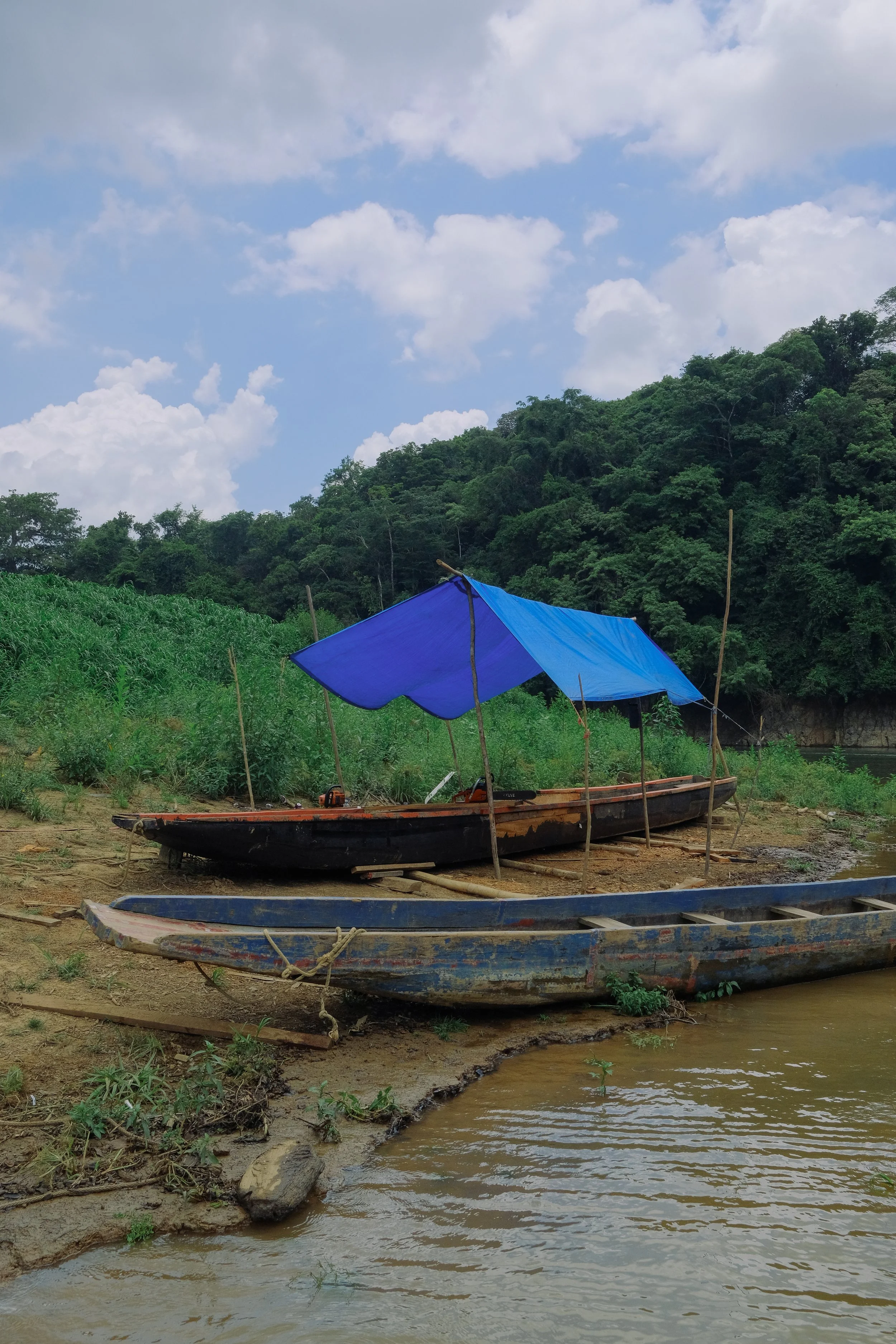 DSCF3440.jpg