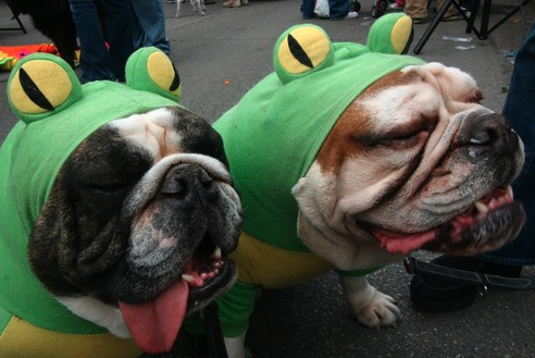 Screen Shot 2013-04-21 at 12.48.26 PM.png