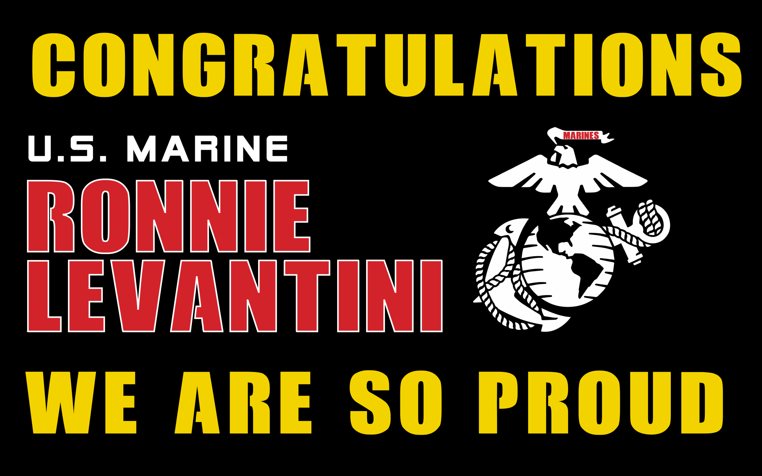 B - 30 X 48 - Marines - Master Ronnie Levantini.png